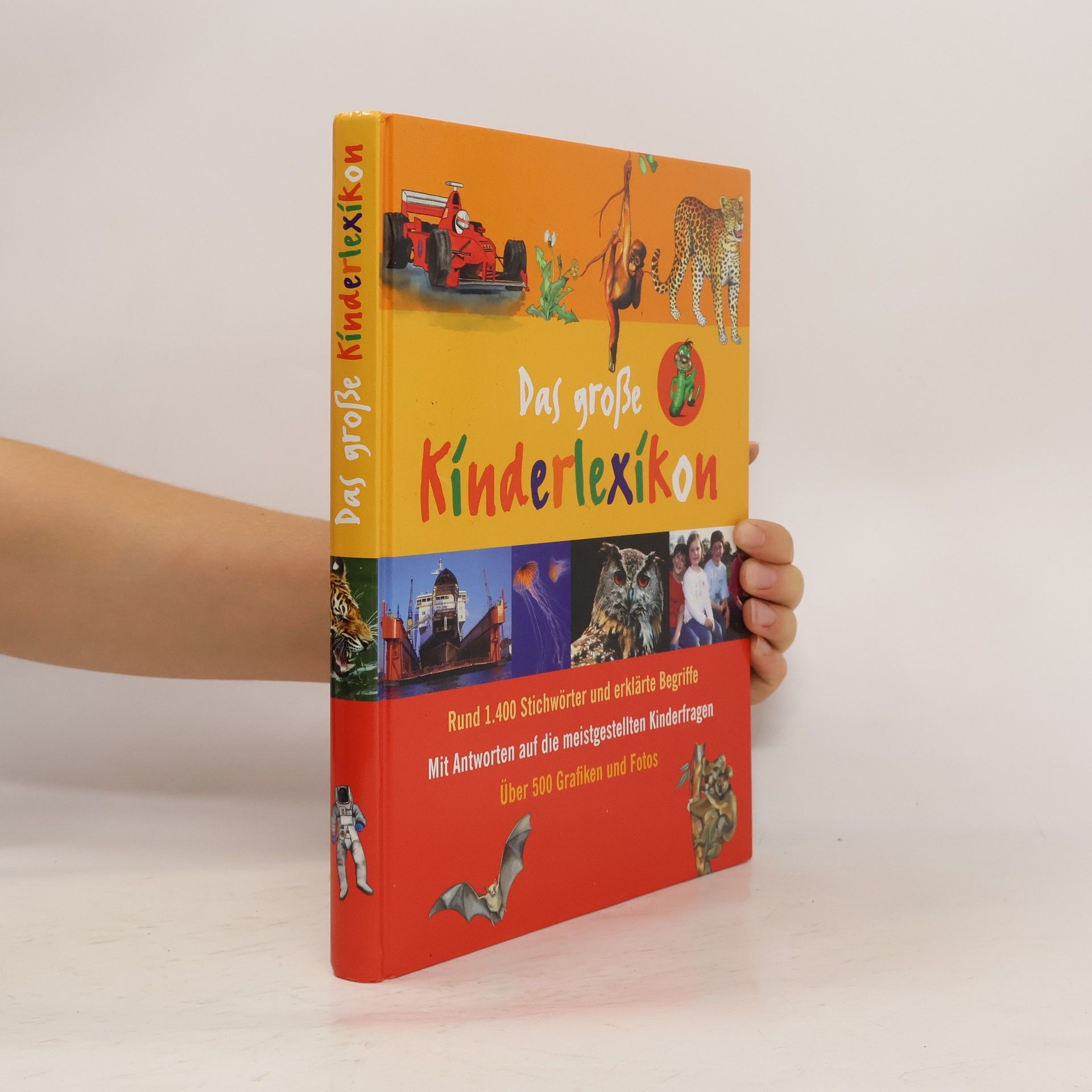 Autorenkollektiv Das große Kínderlexíkon
