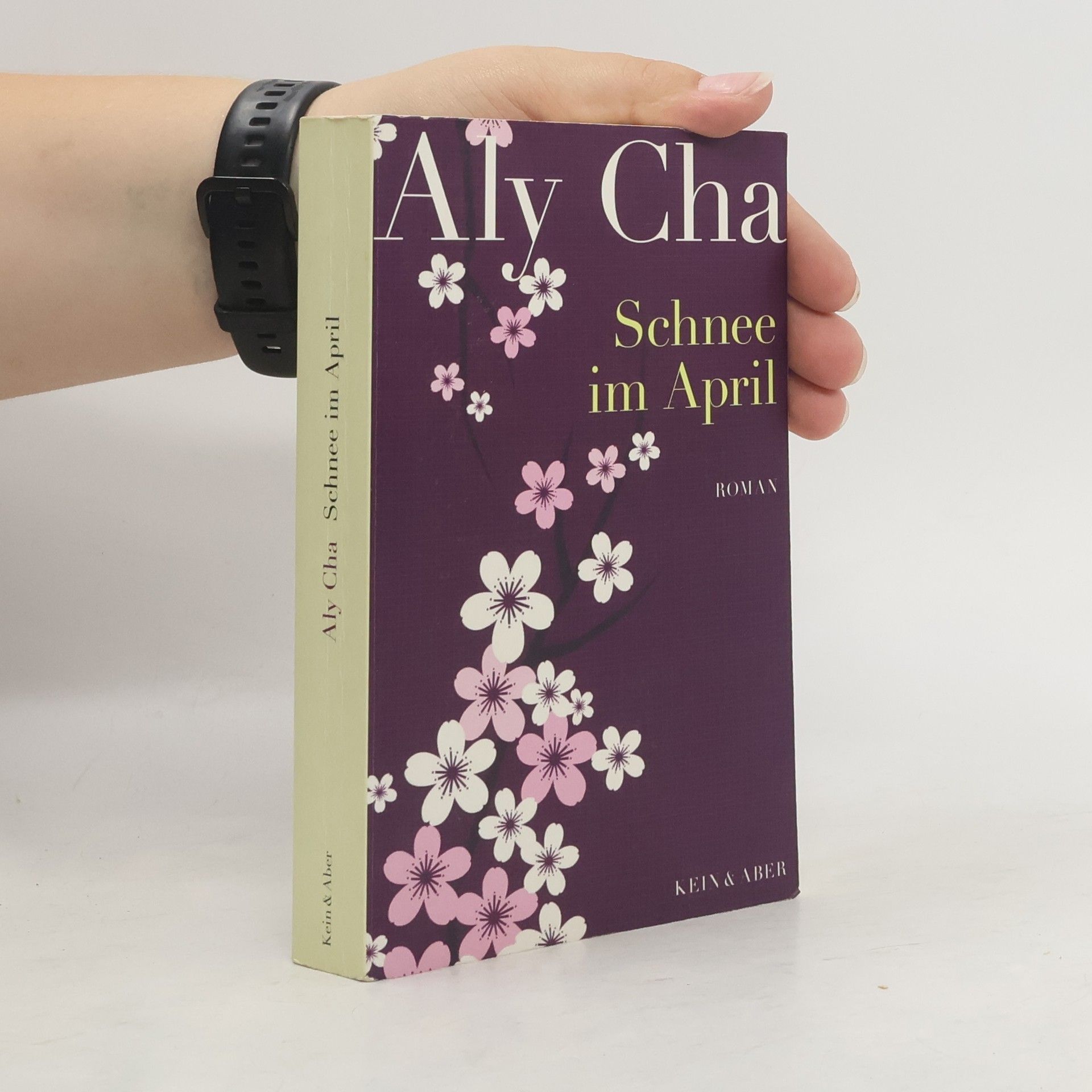 Aly Cha Schnee im April