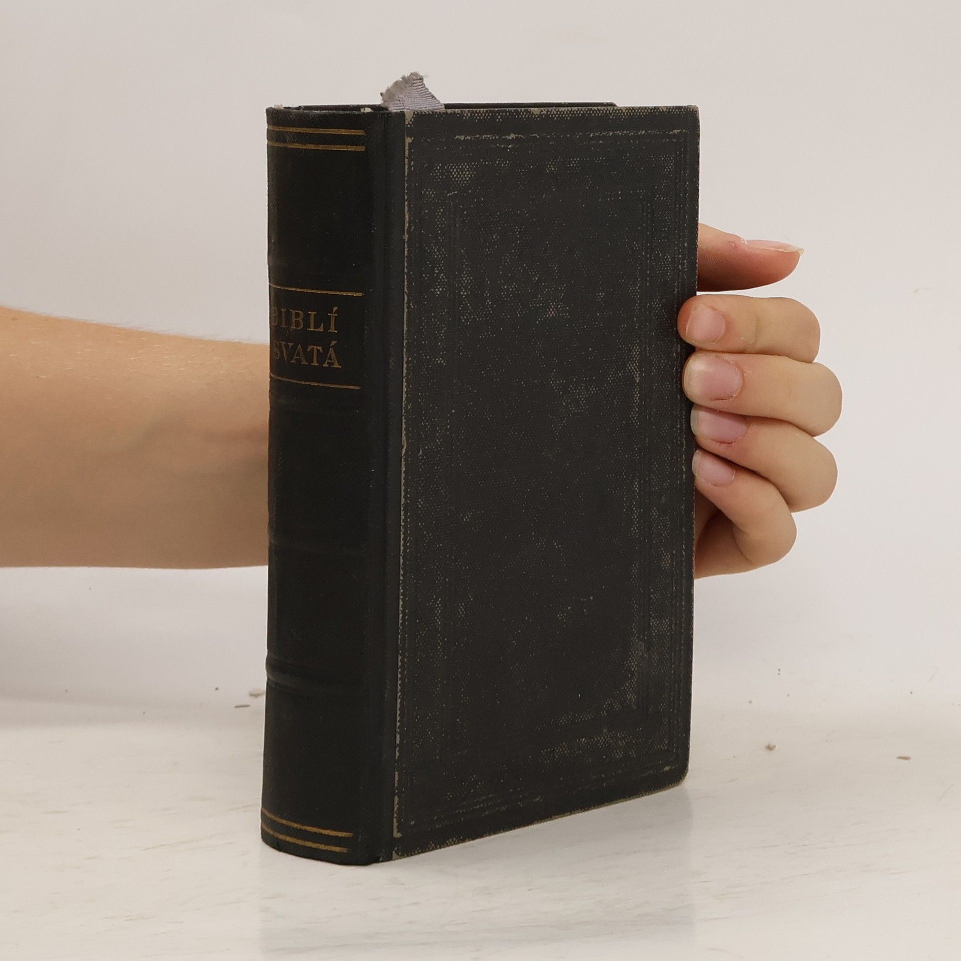 Kolektiv autorů Biblí svatá