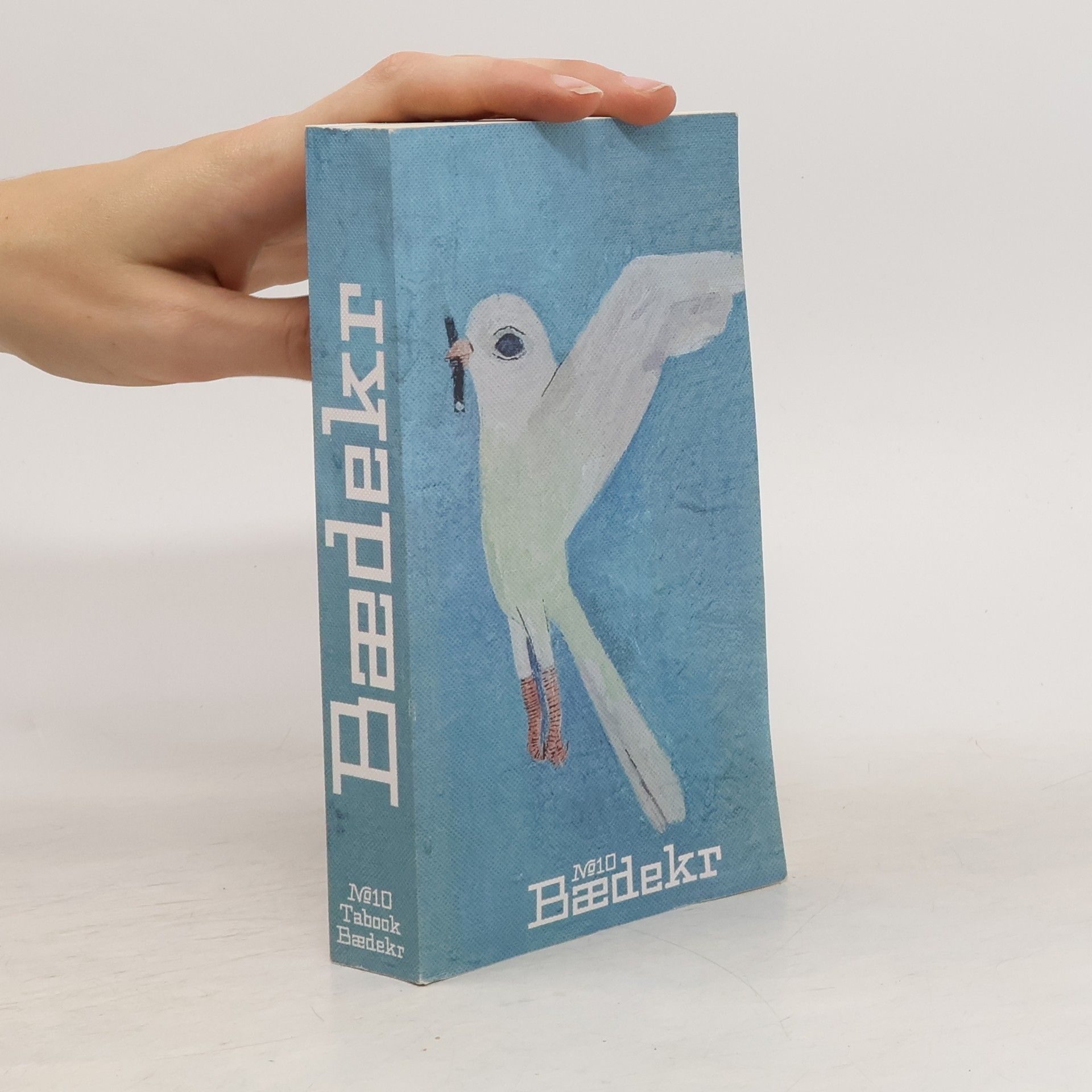 Various authors Baedeker