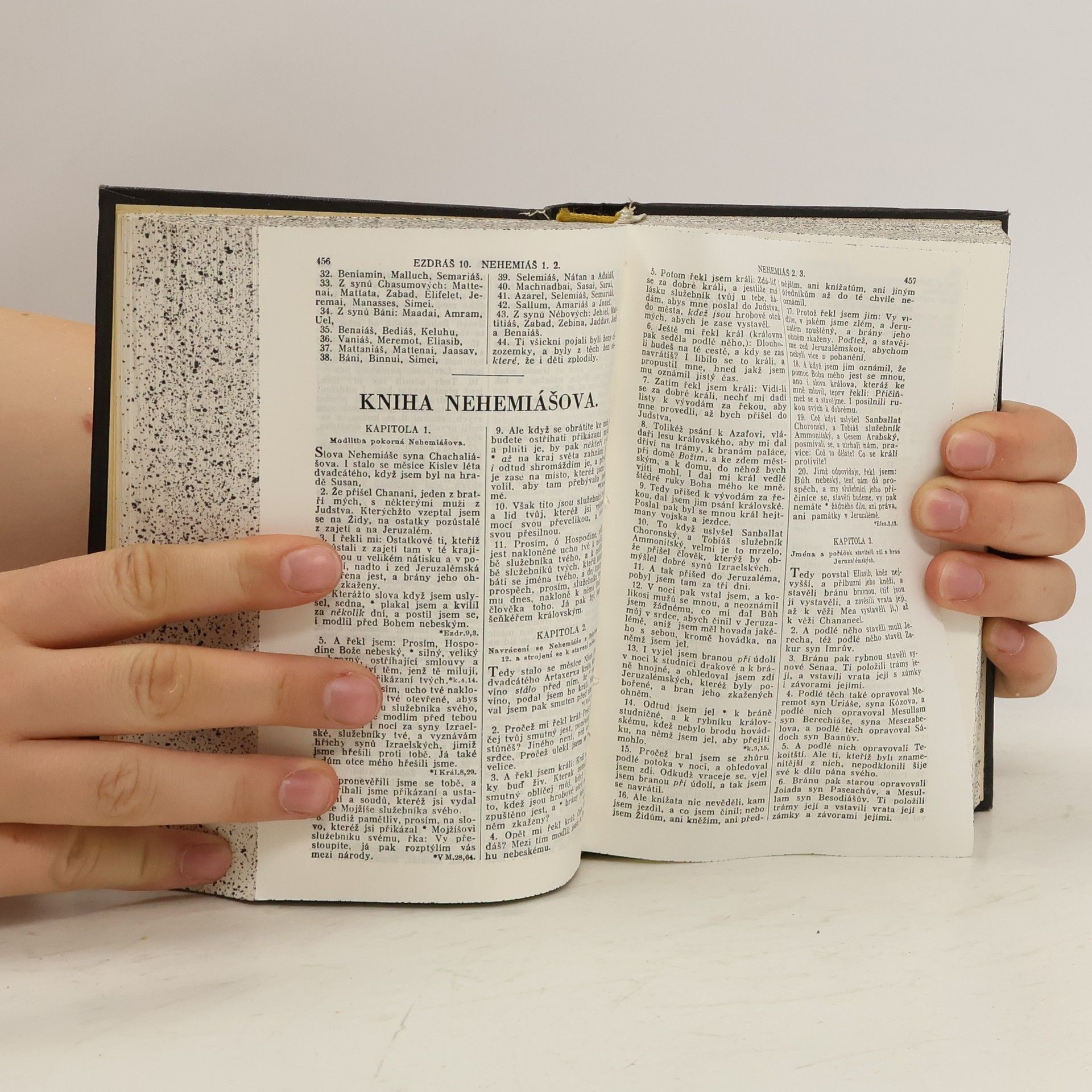 Autores varios Biblí svatá aneb všecka Svatá písma Starého i Nového Zákona