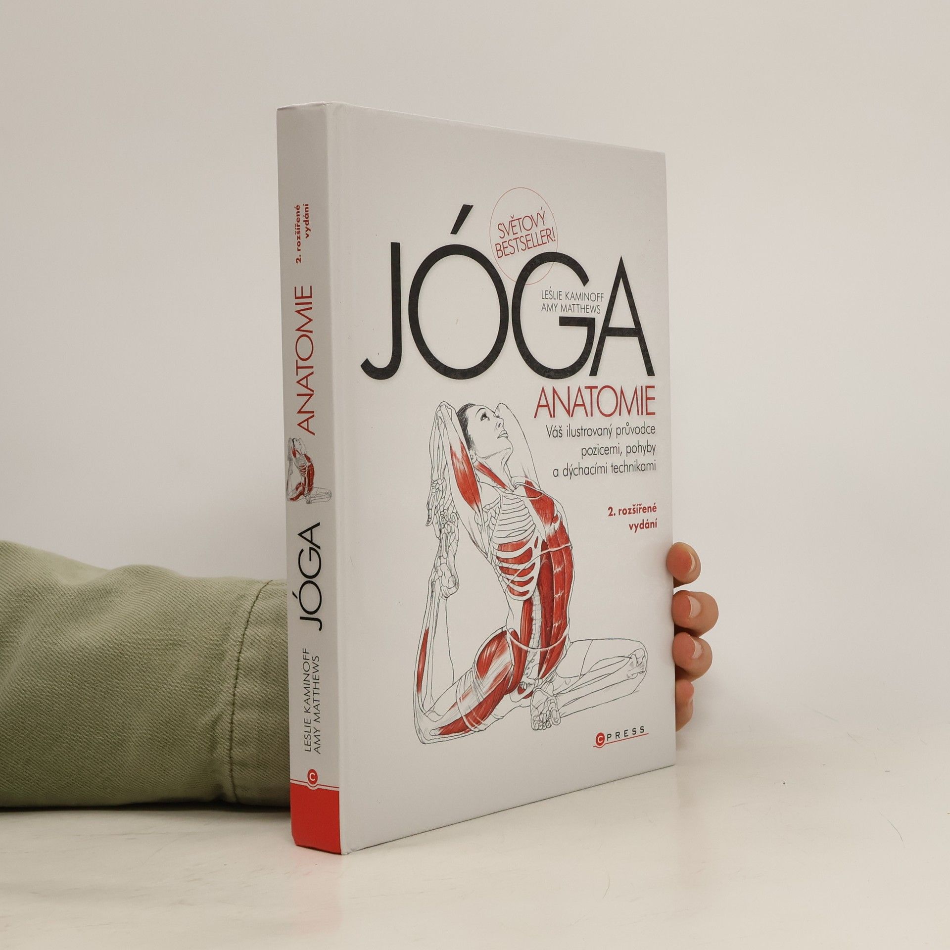 Jóga. Anatomie