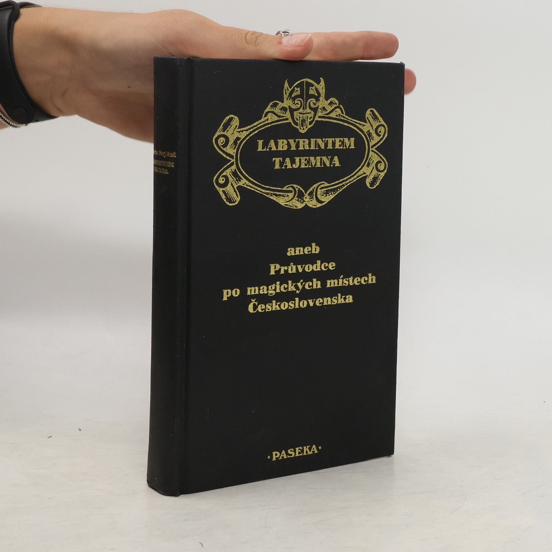 Martin Stejskal Labyrintem tajemna aneb Průvodce po magických místech Československa