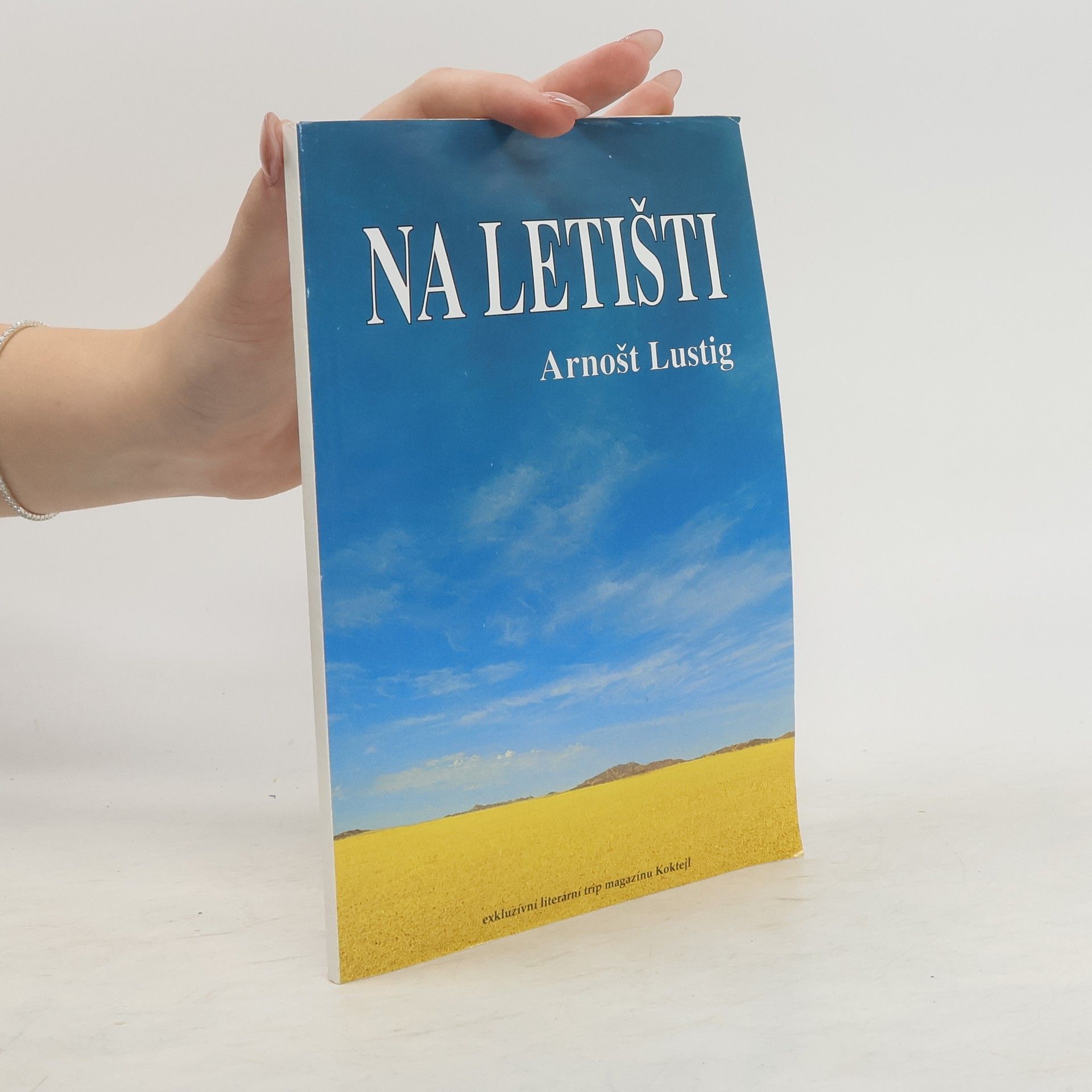 Na letišti