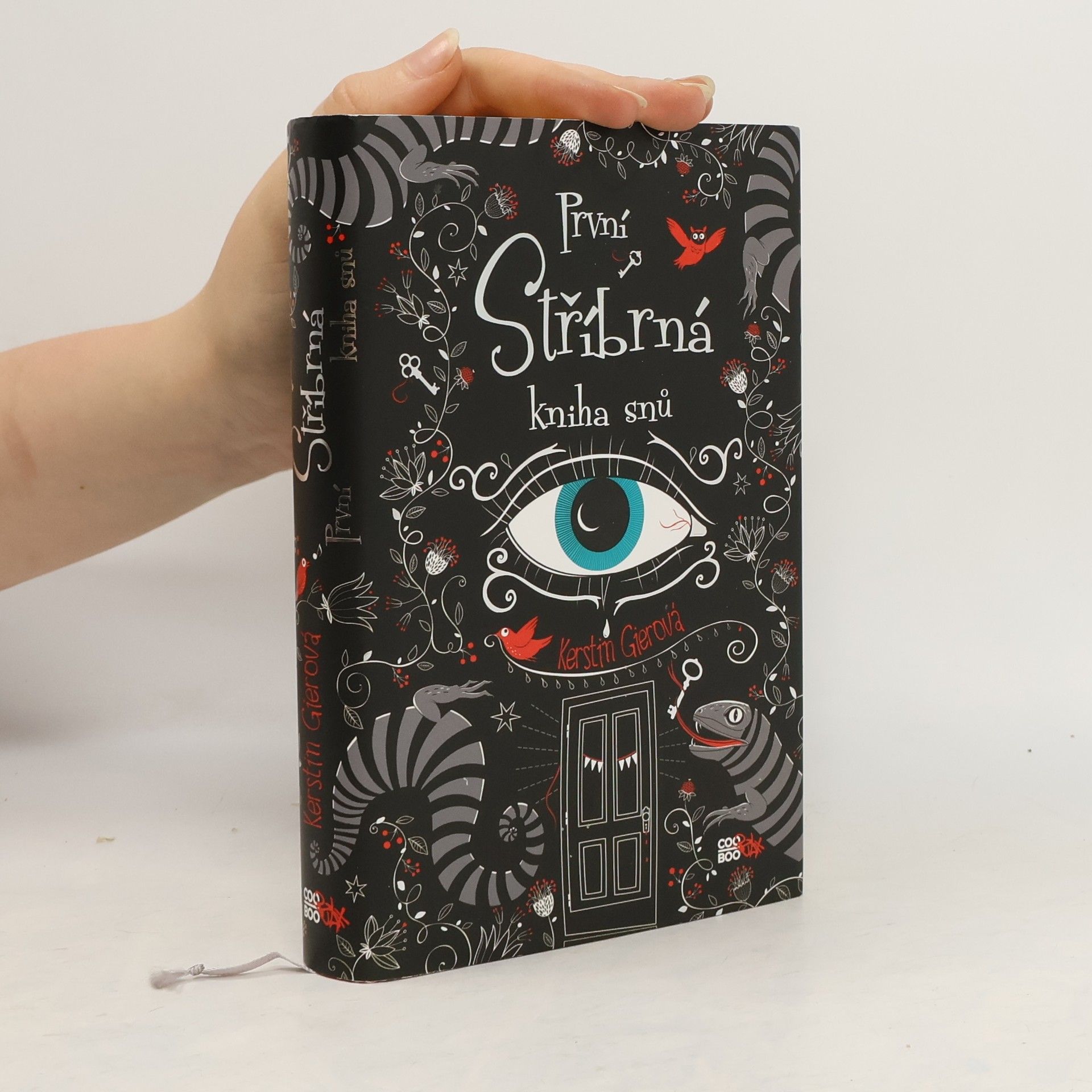 Kerstin Gier První stříbrná kniha snů