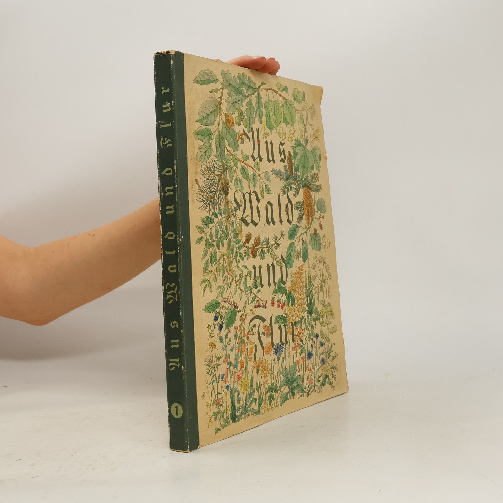 Kolektiv autorů Aus Wald und Flur 1