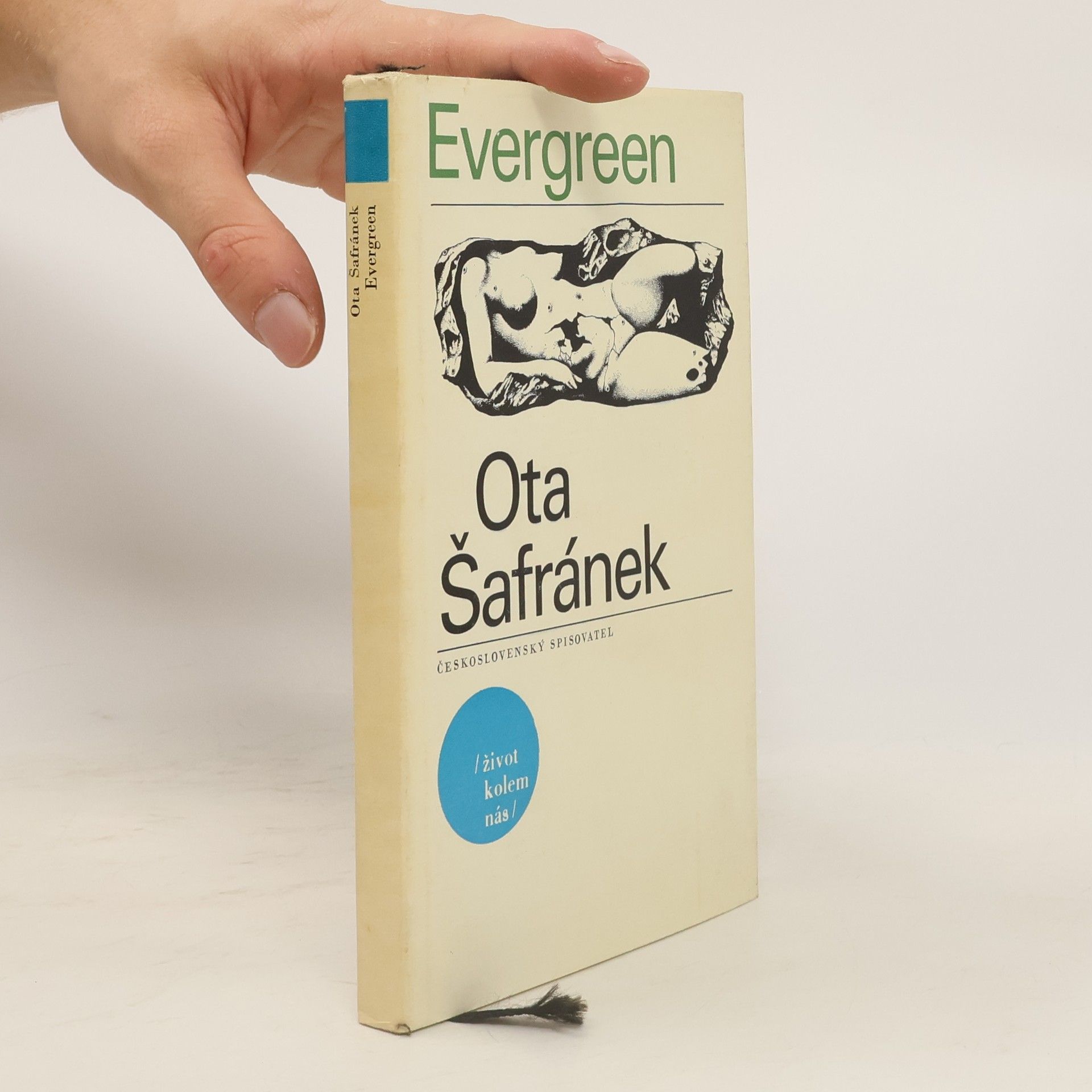 Evergreen aneb Jedinečné třeštění