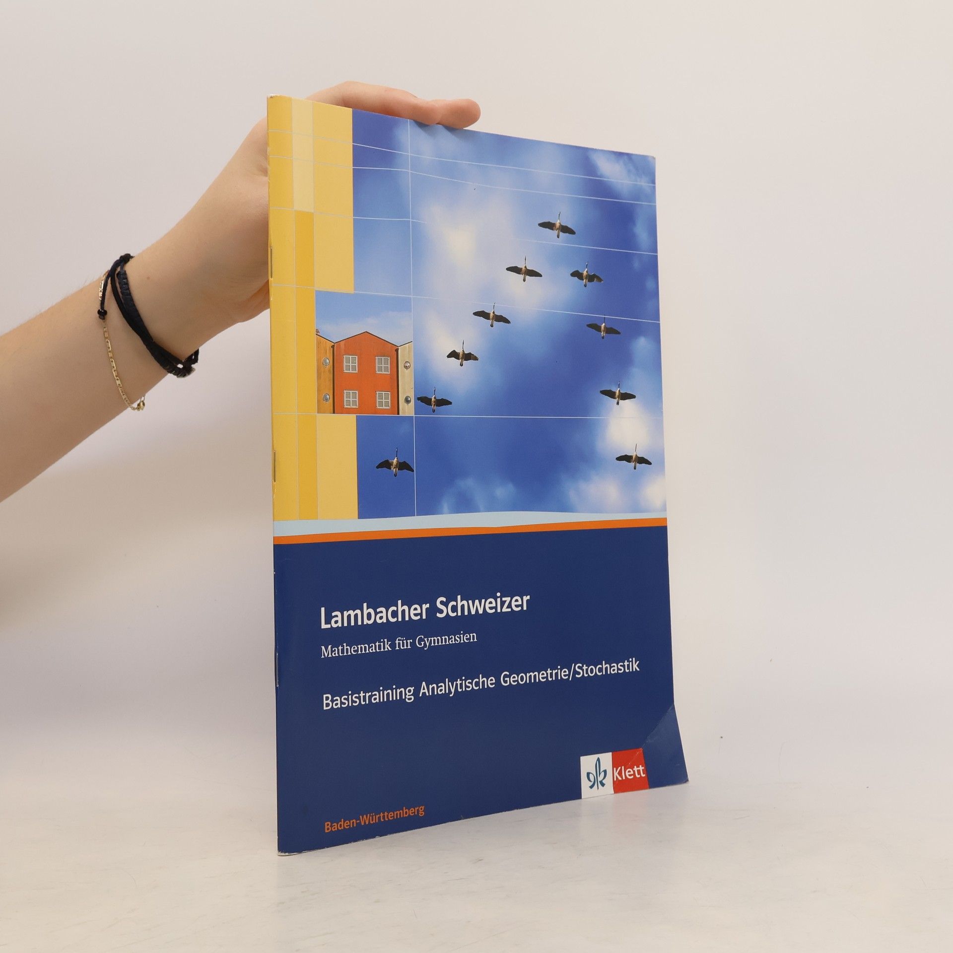 Michaela Ruckh 11./12. Schuljahr, Basistraining Analytische Geometrie/Stochastik