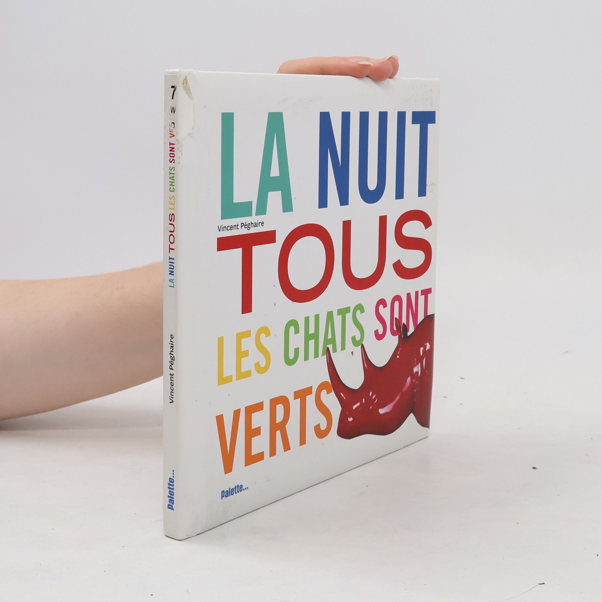 Vincent Péghaire La nuit tous les chats sont verts