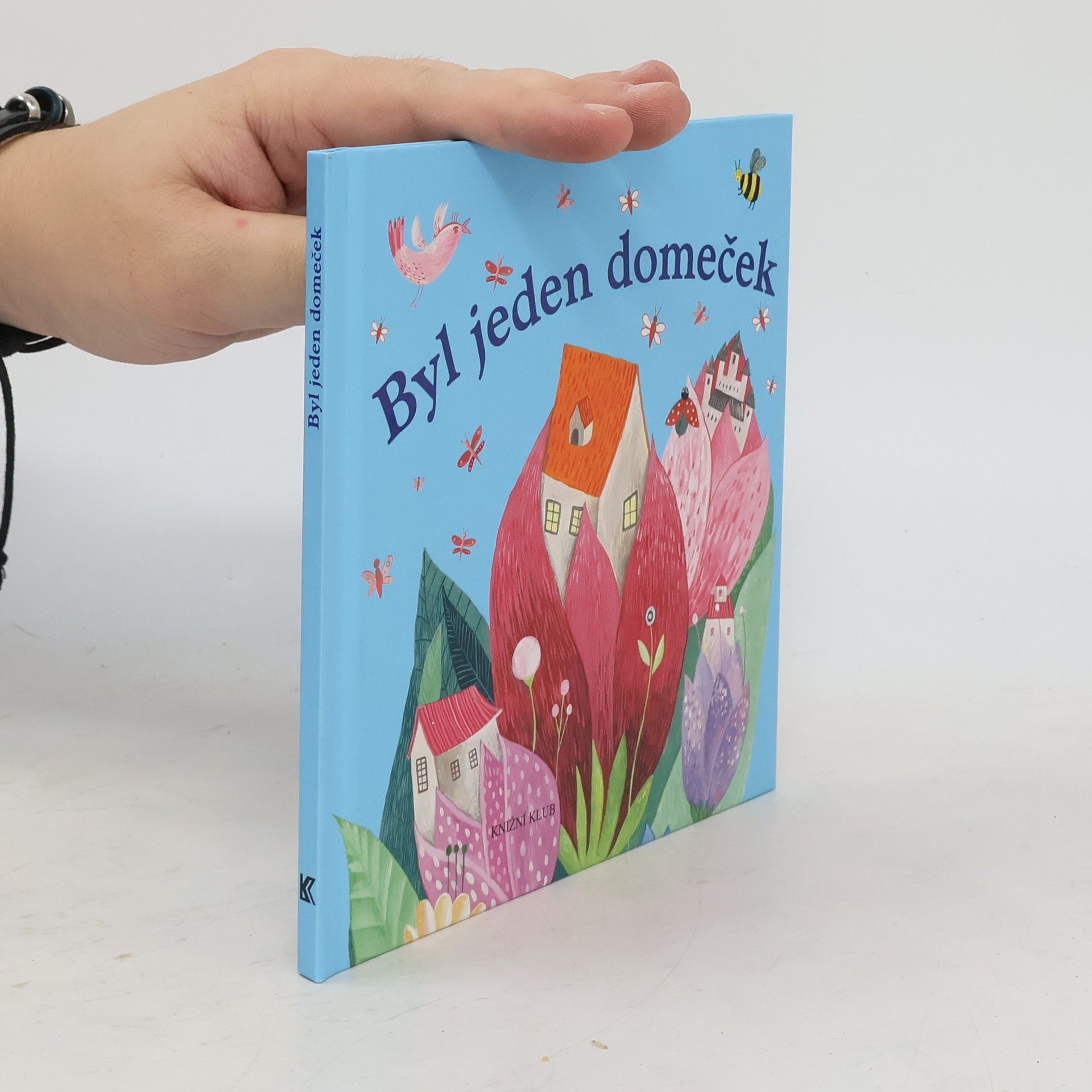 Viola Somogyi Byl jeden domeček