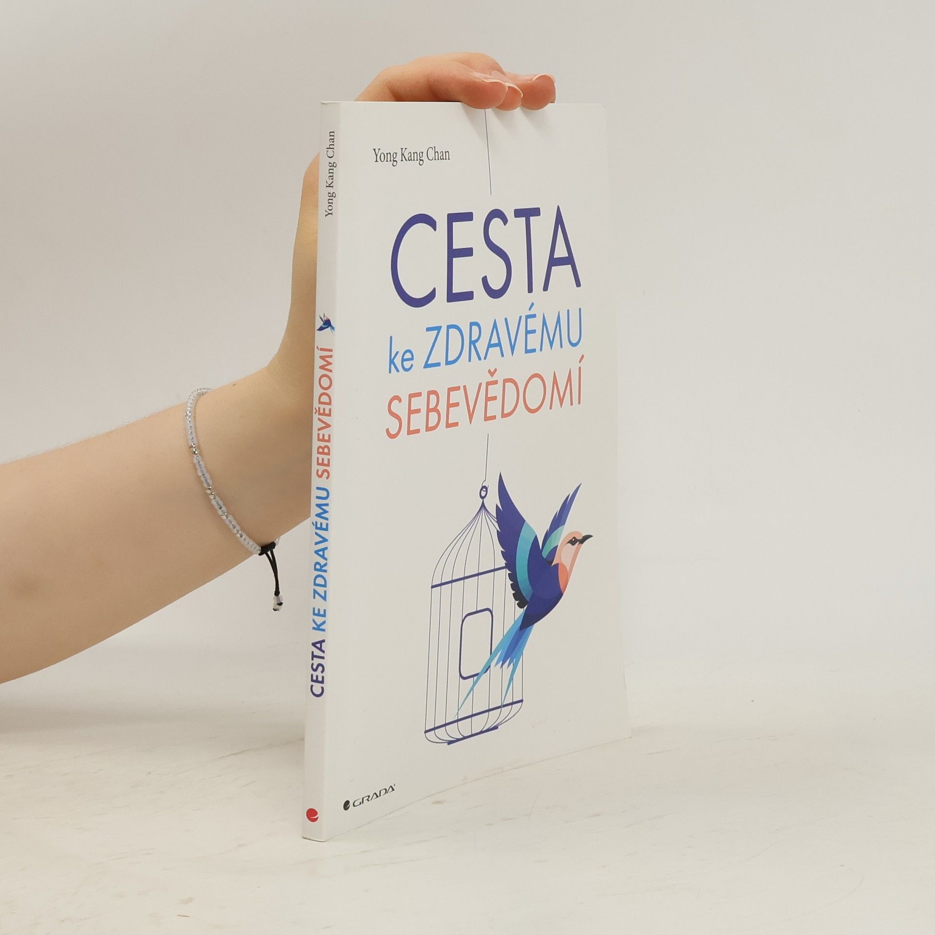 Yong Kang Chan Cesta ke zdravému sebevědomí