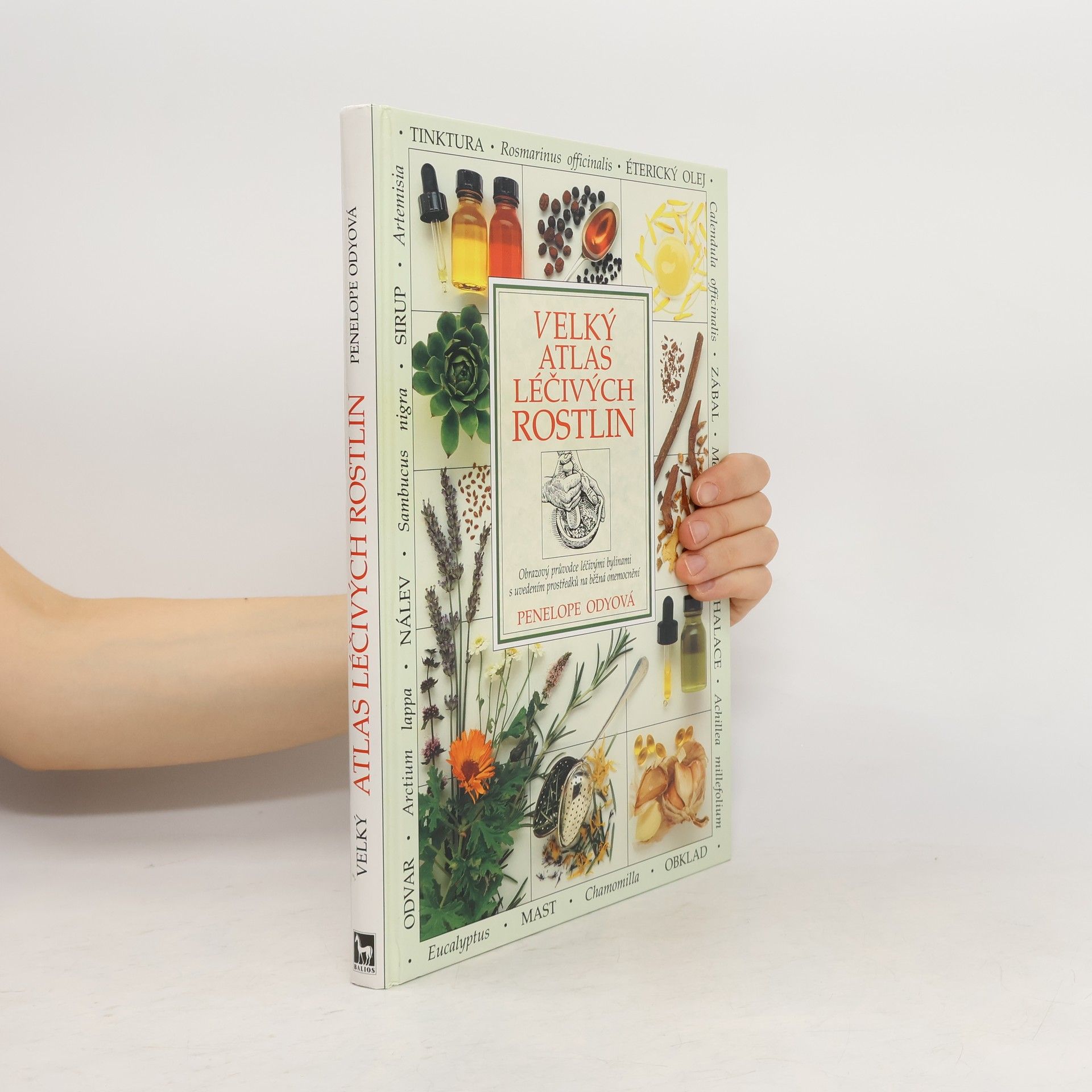 Penelope Ody Velký atlas léčivých rostlin