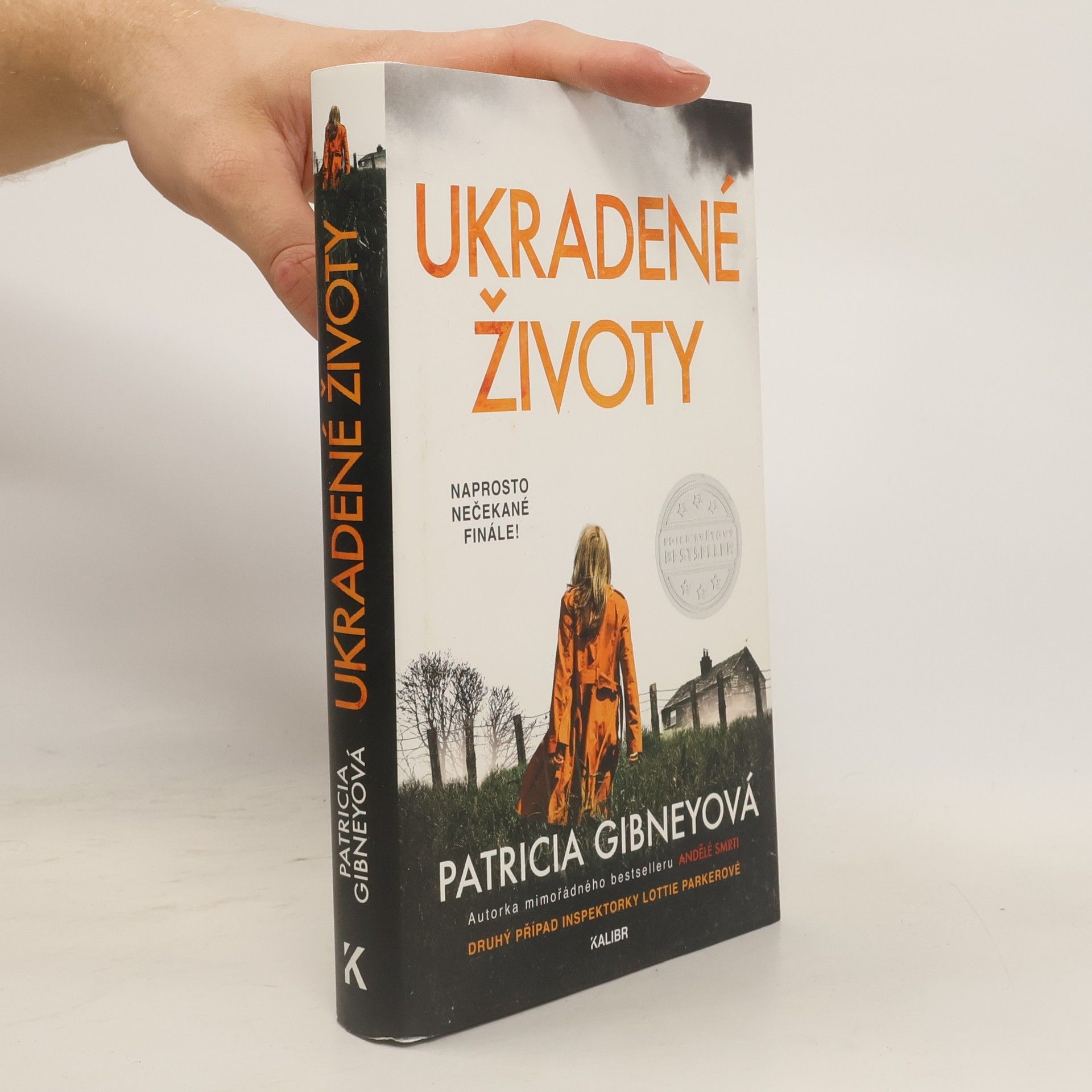 Patricia Gibney Ukradené životy