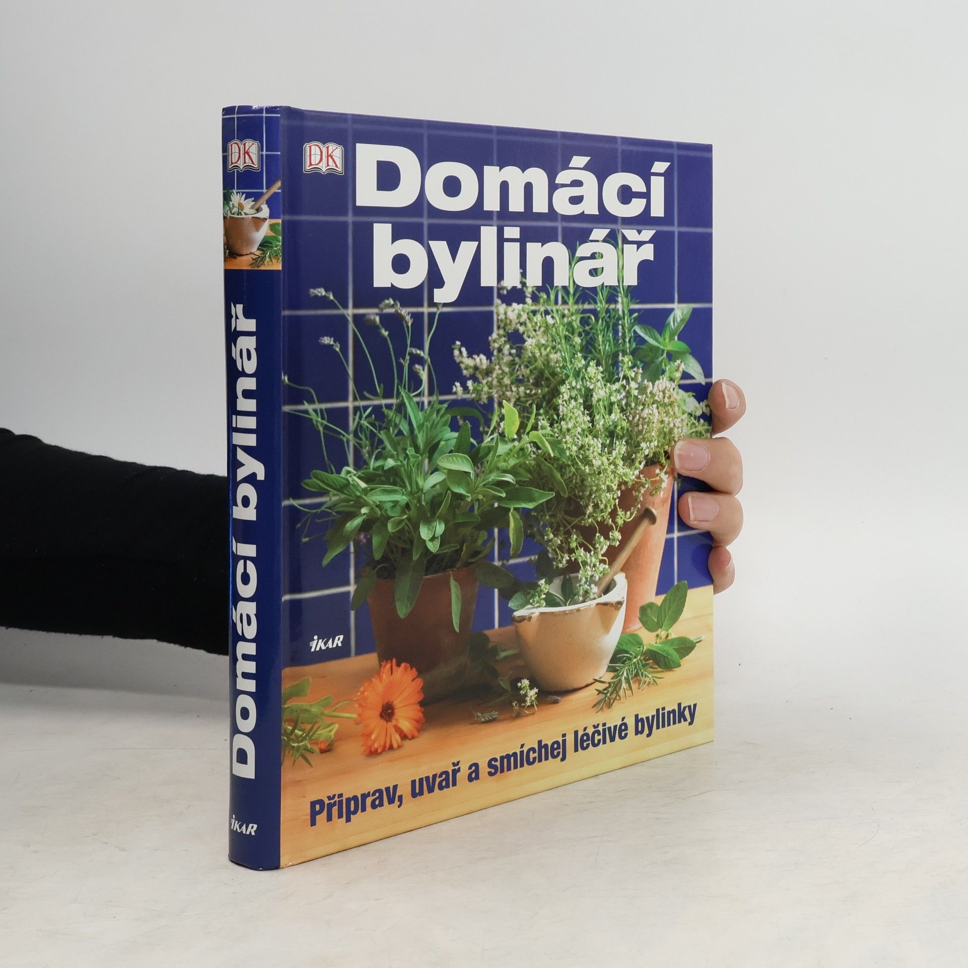 Kolektiv autorů Domácí bylinář