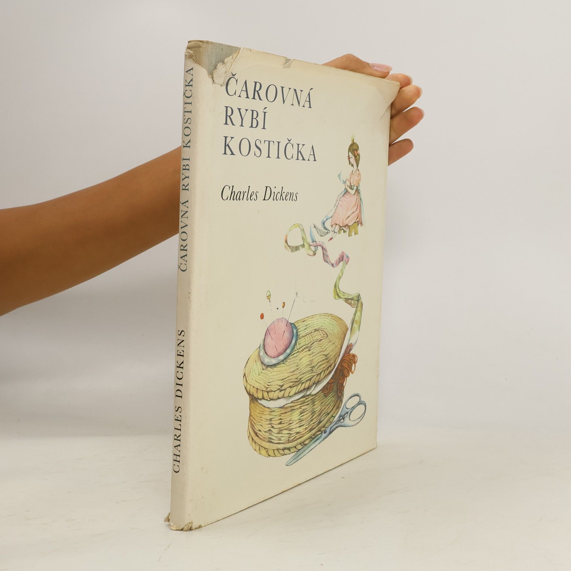 Čarovná rybí kostička