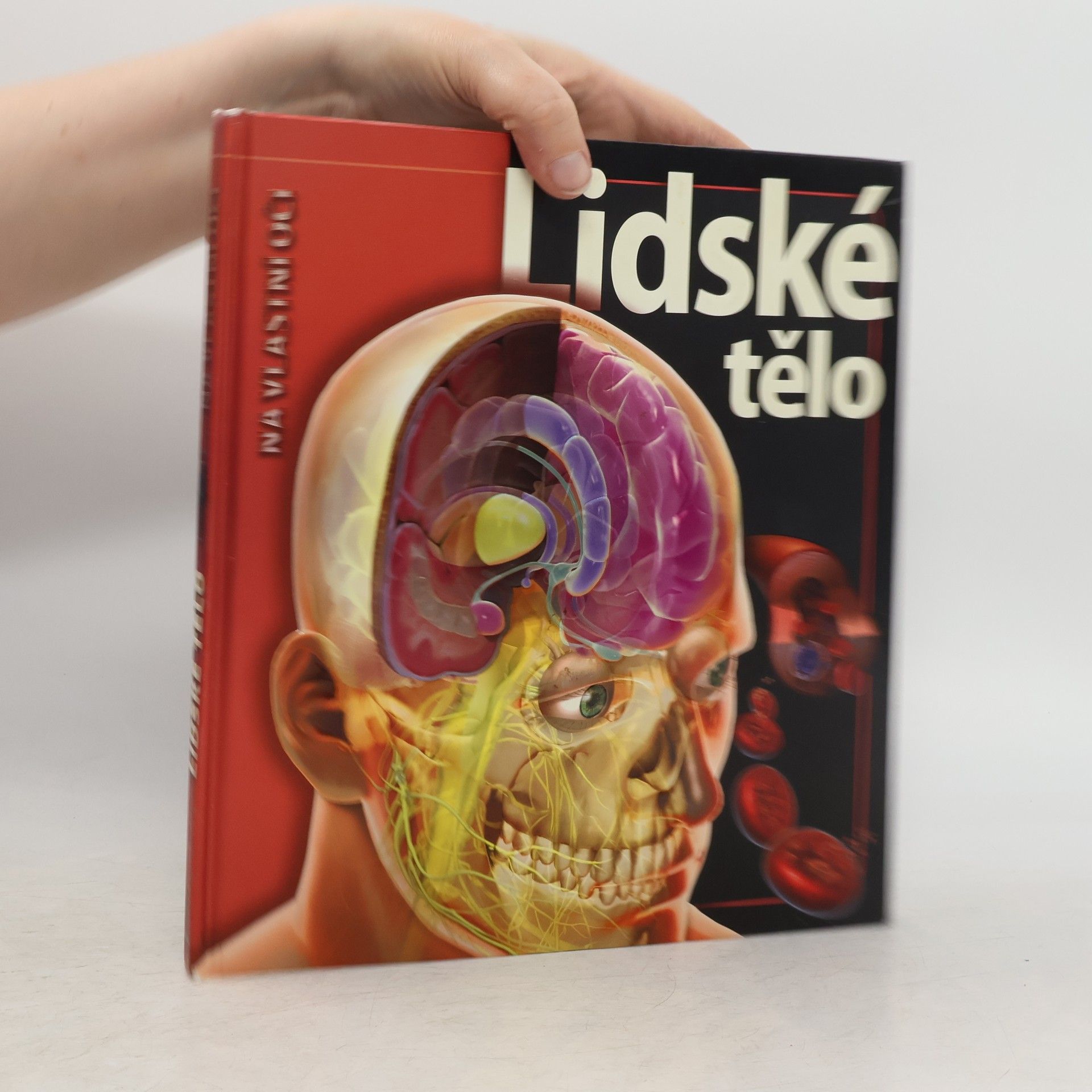 Linda Calabresi Lidské tělo