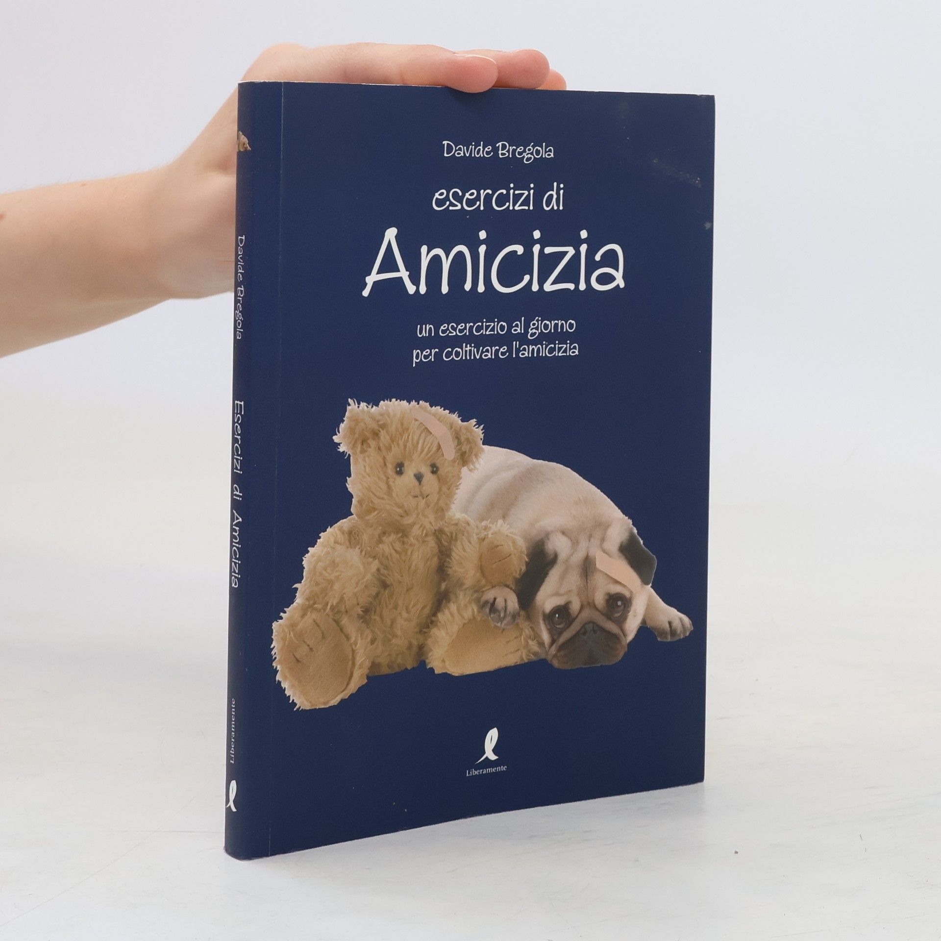 Davide Bregola Esercizi di amicizia. Un esercizio al giorno per coltivare l'amicizia