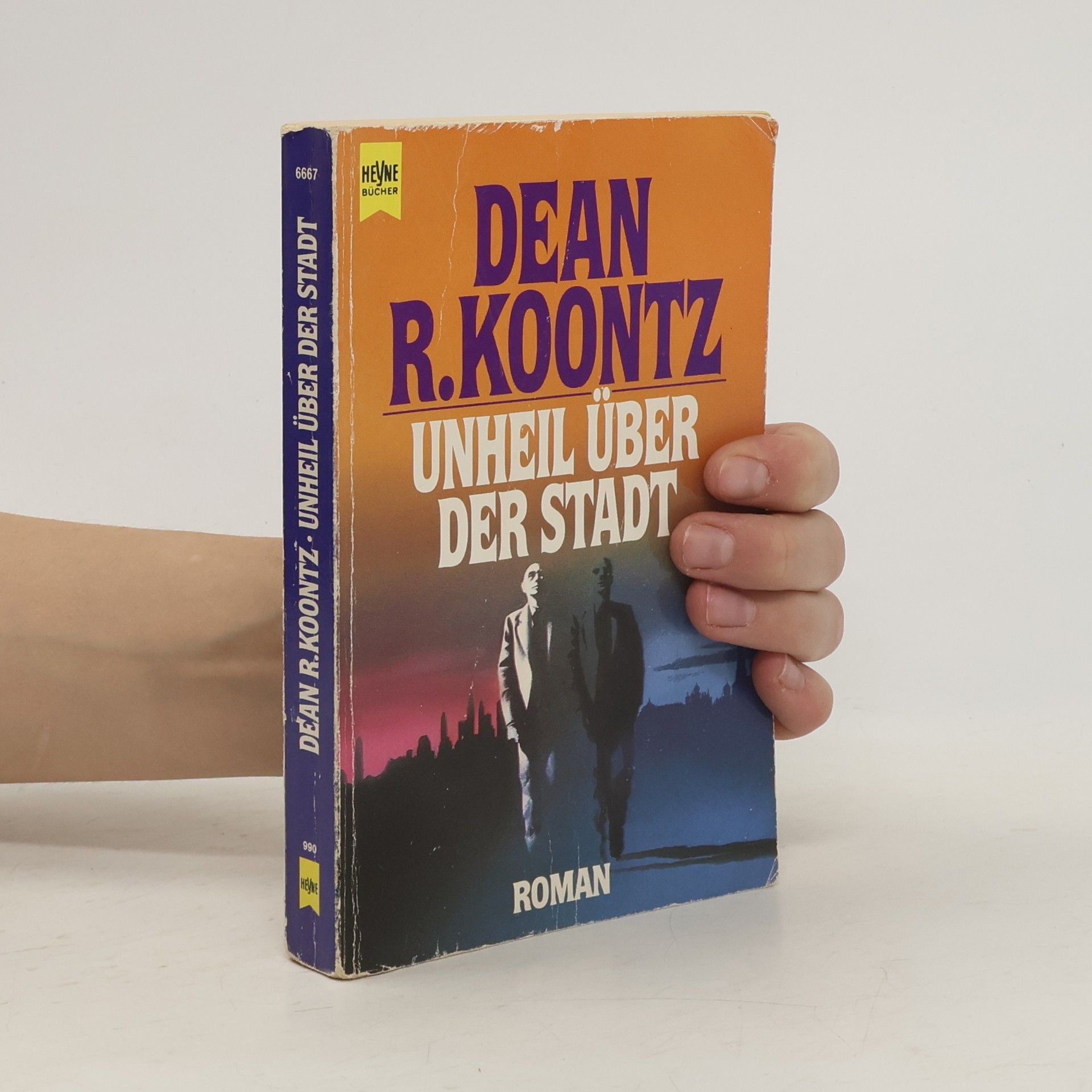 Dean R. Koontz Unheil über der Stadt