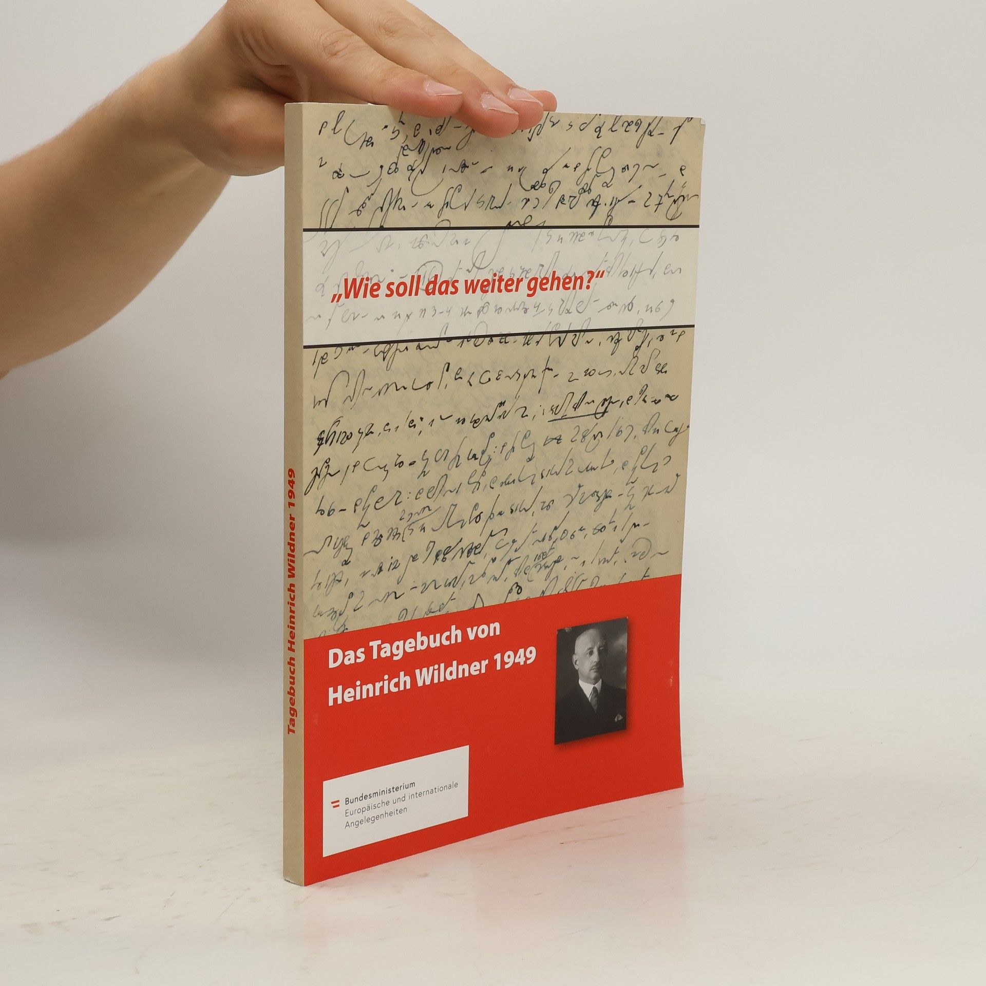 Heinrich Wildner "Wie soll das weiter gehen?"