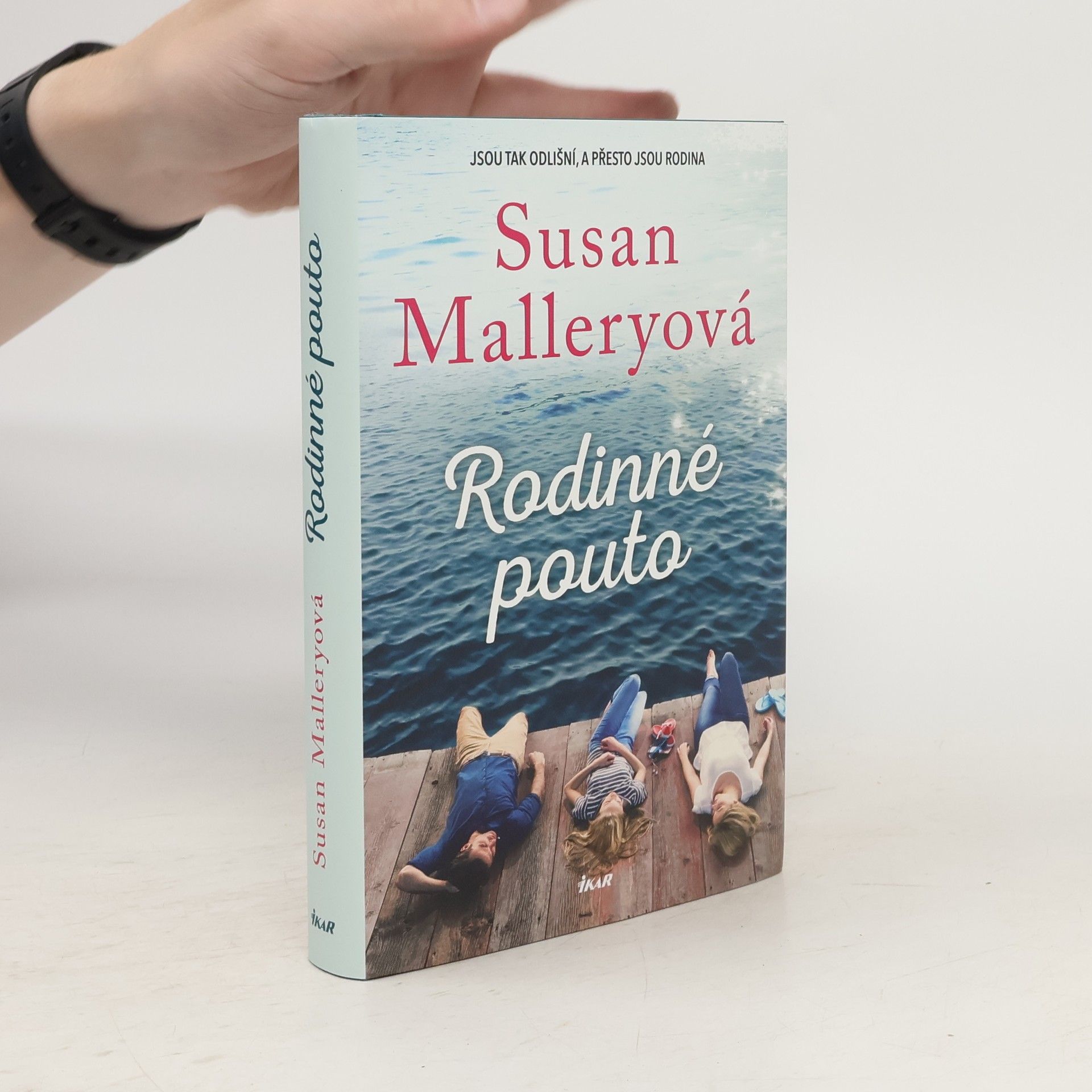 Susan Mallery Rodinné pouto