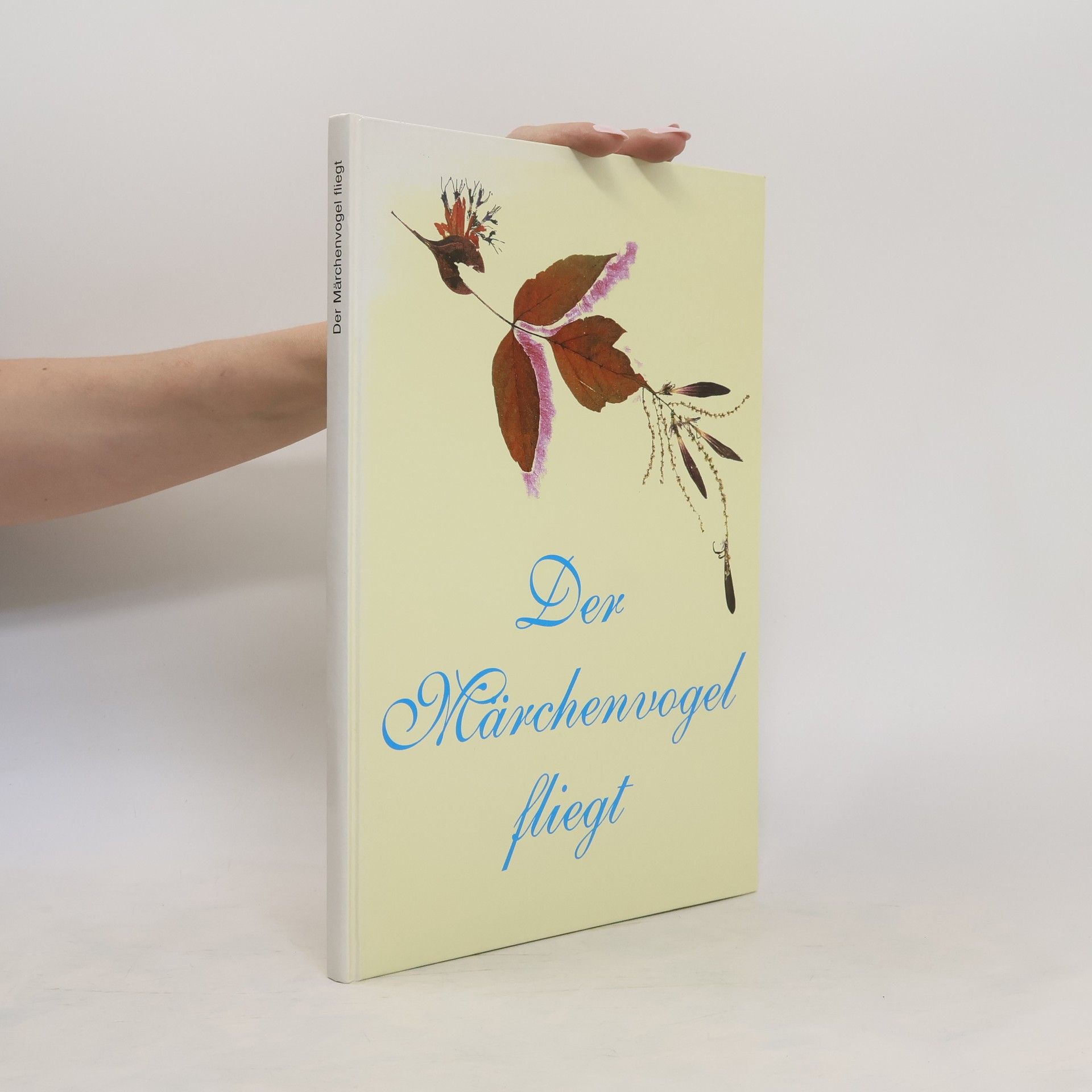 Collectif d'auteurs Der Märchenvogel fliegt