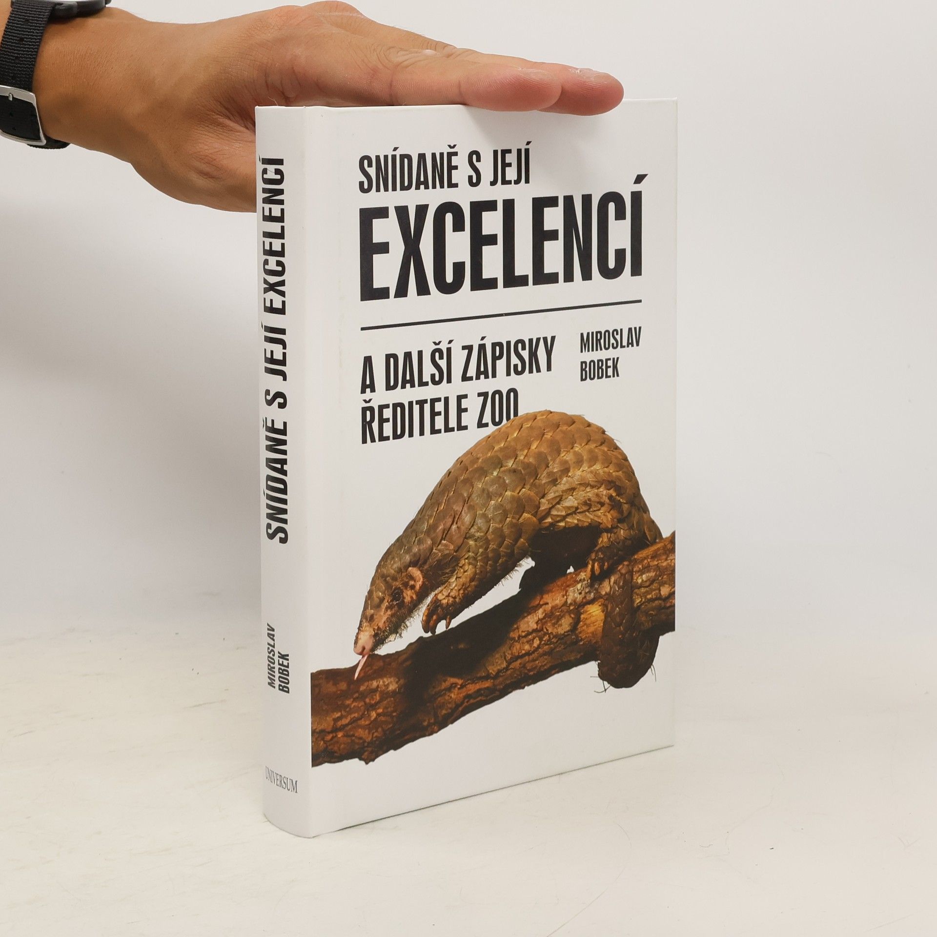 Miroslav Bobek Snídaně s její excelencí