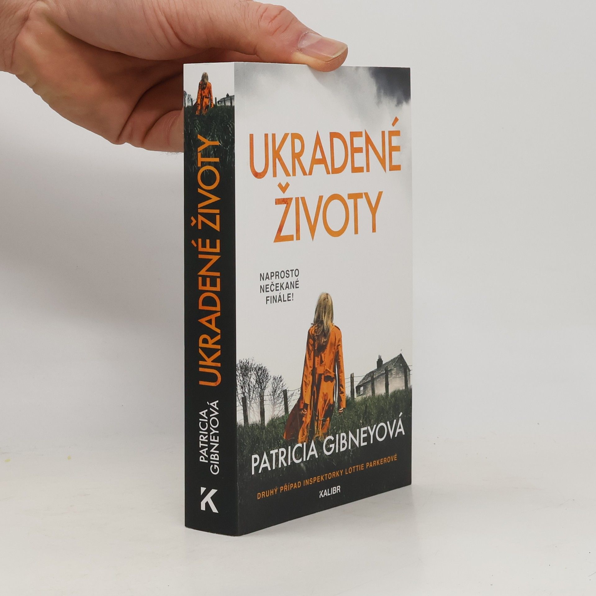 Patricia Gibney Ukradené životy