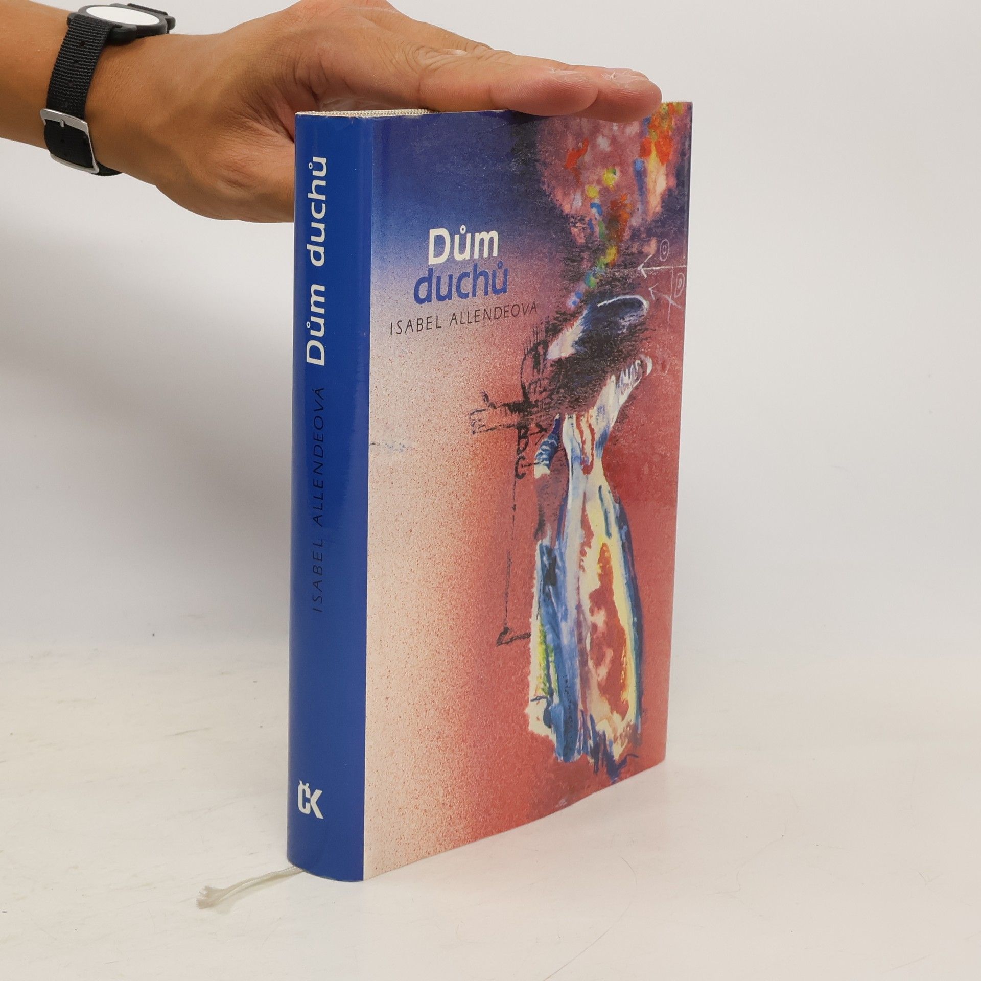 Isabel Allende Dům duchů