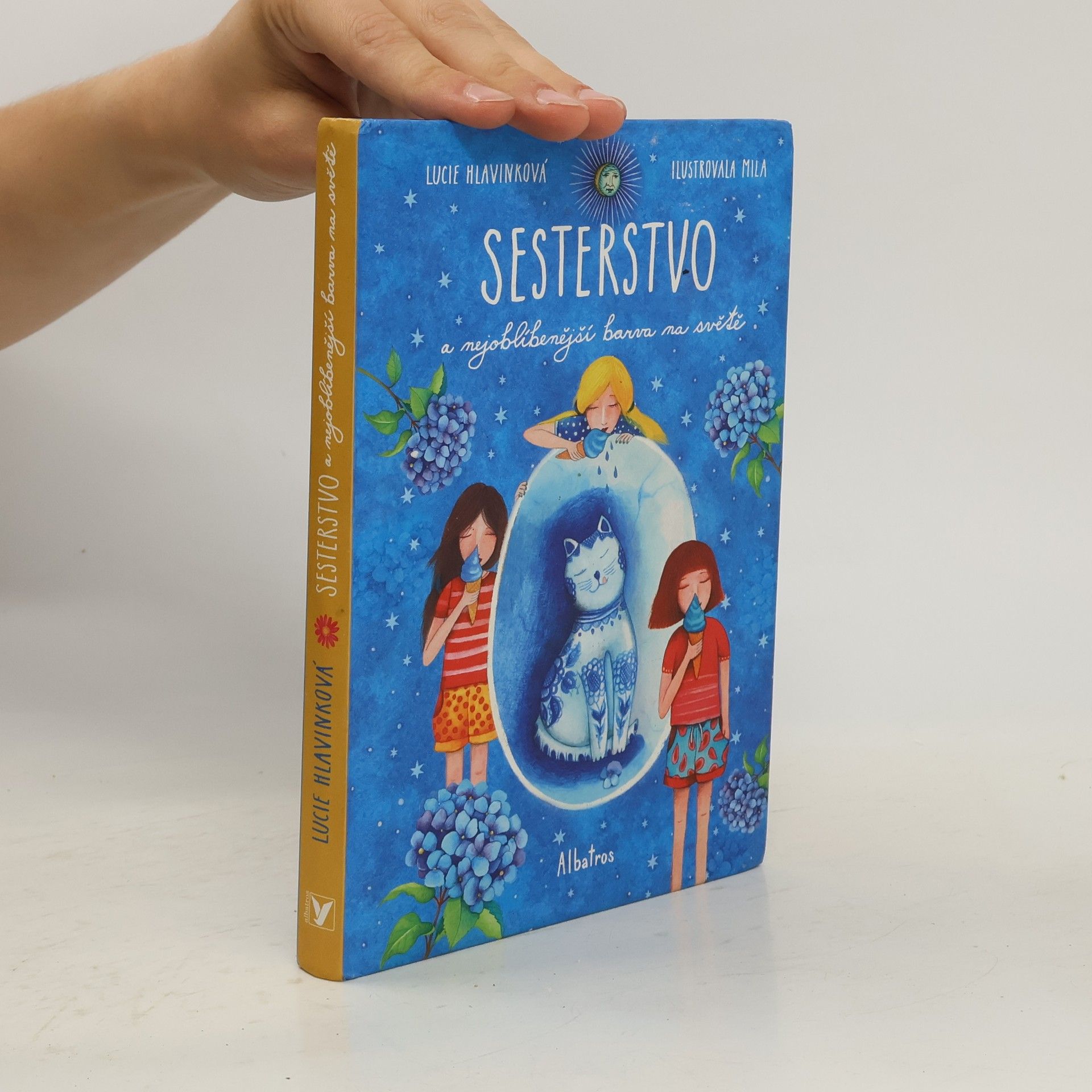 Sesterstvo a nejoblíbenější barva na světě