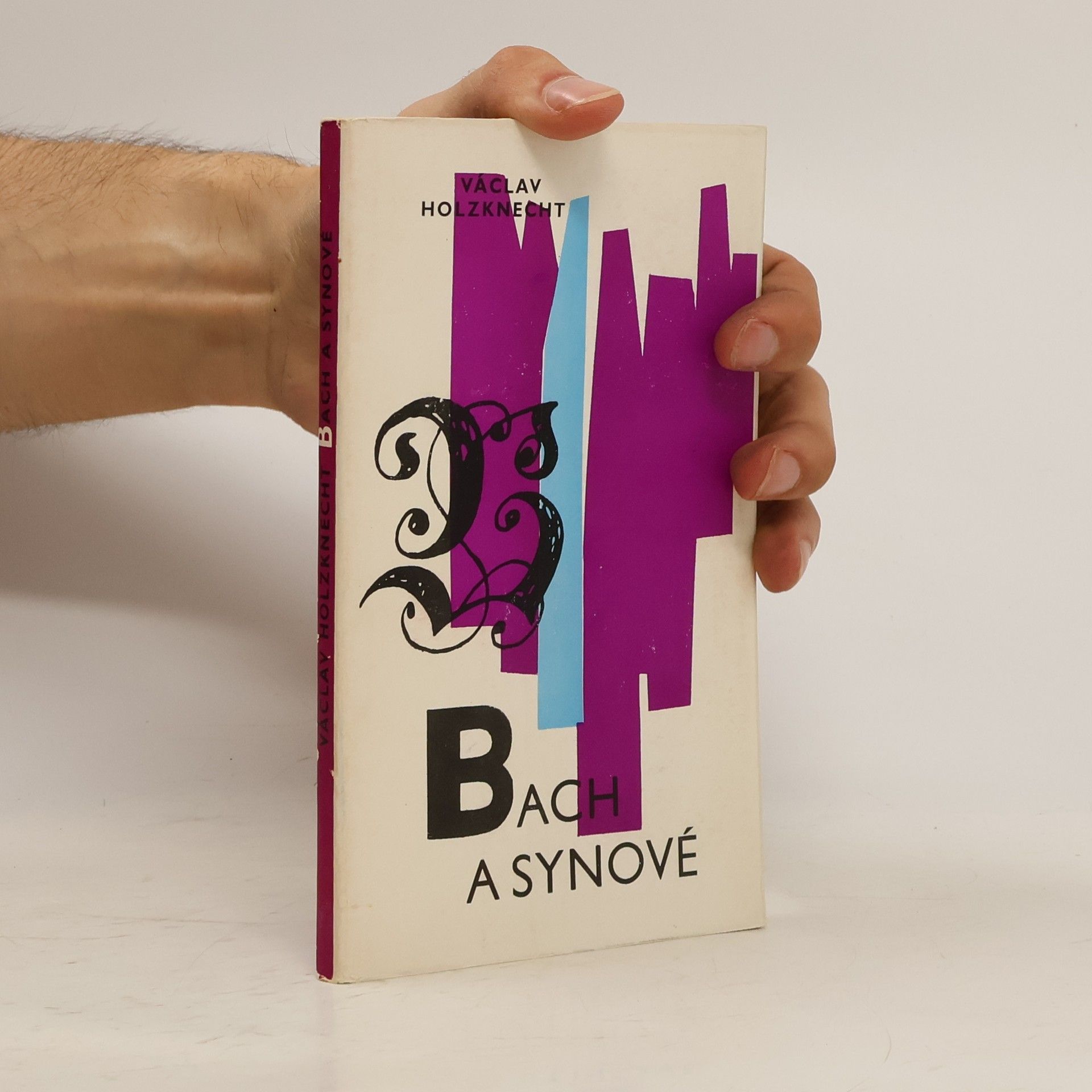 Václav Holzknecht Bach a synové