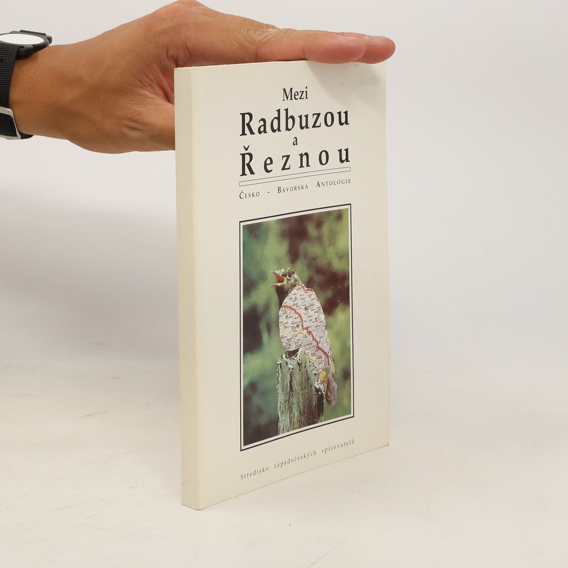 Collectif d'auteurs Mezi Radbuzou a Řeznou : Česko-bavorská antologie