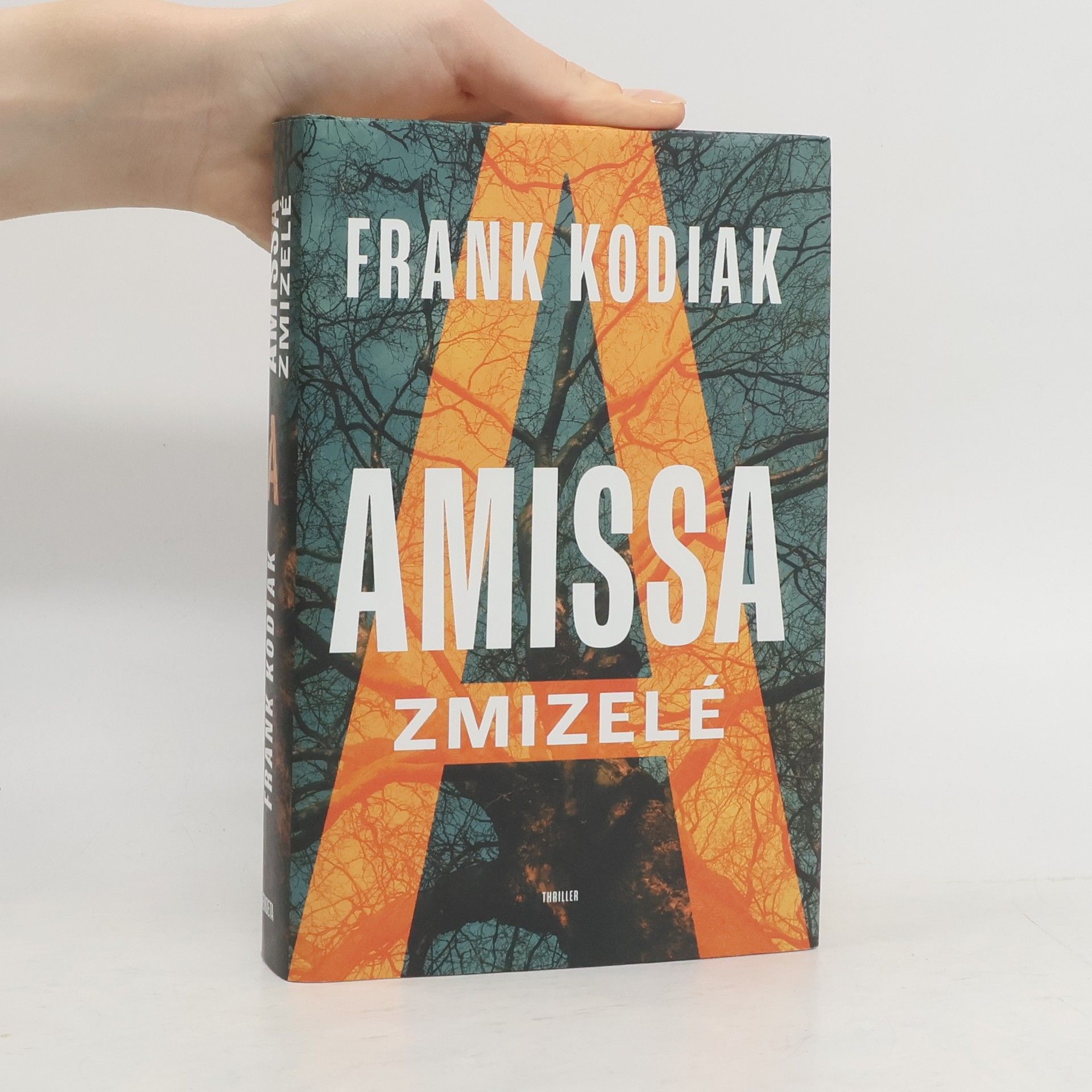 Hendrik Winter Amissa. Zmizelé