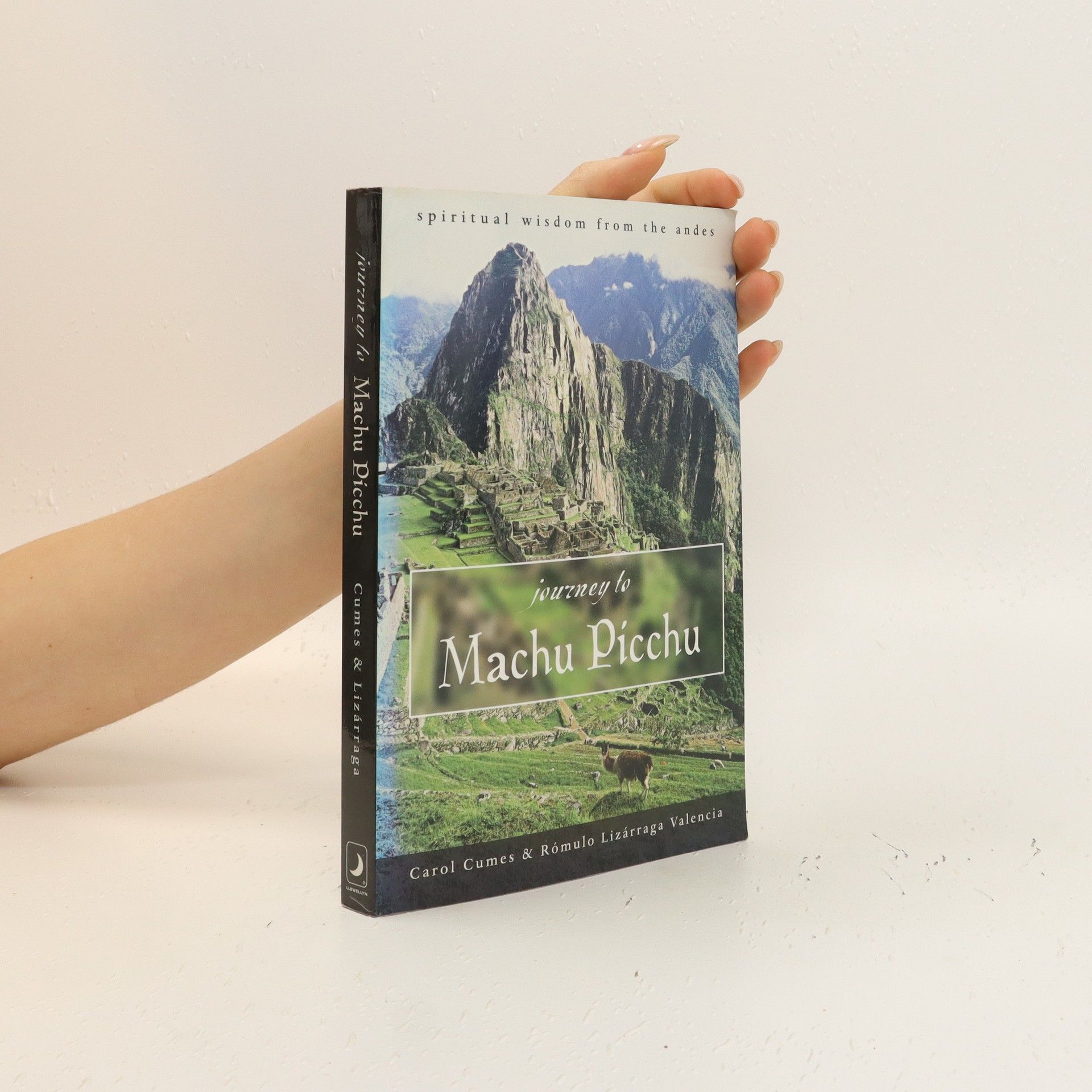 Carol Cumes Journey to Machu Picchu