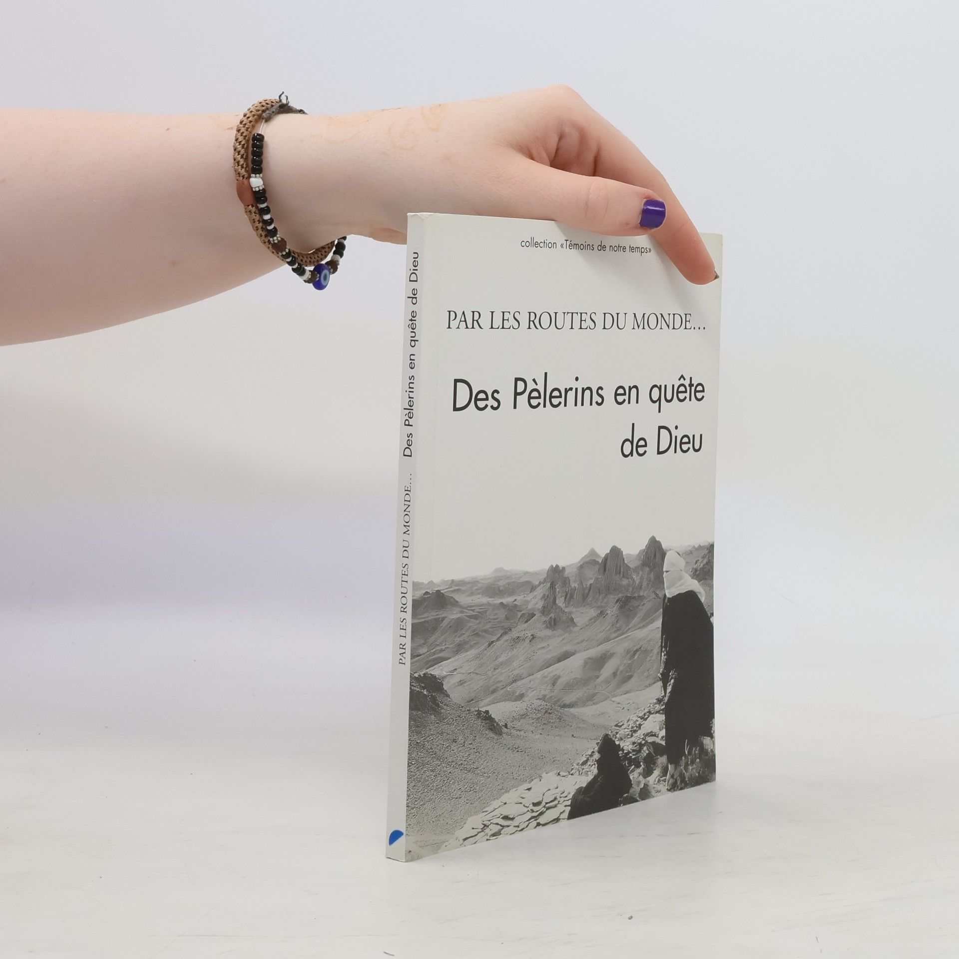 Sylvie Baeriswyl Chouillet Témoins de notre temps: Par les routes du monde... Des pèlerins en quête de Dieu