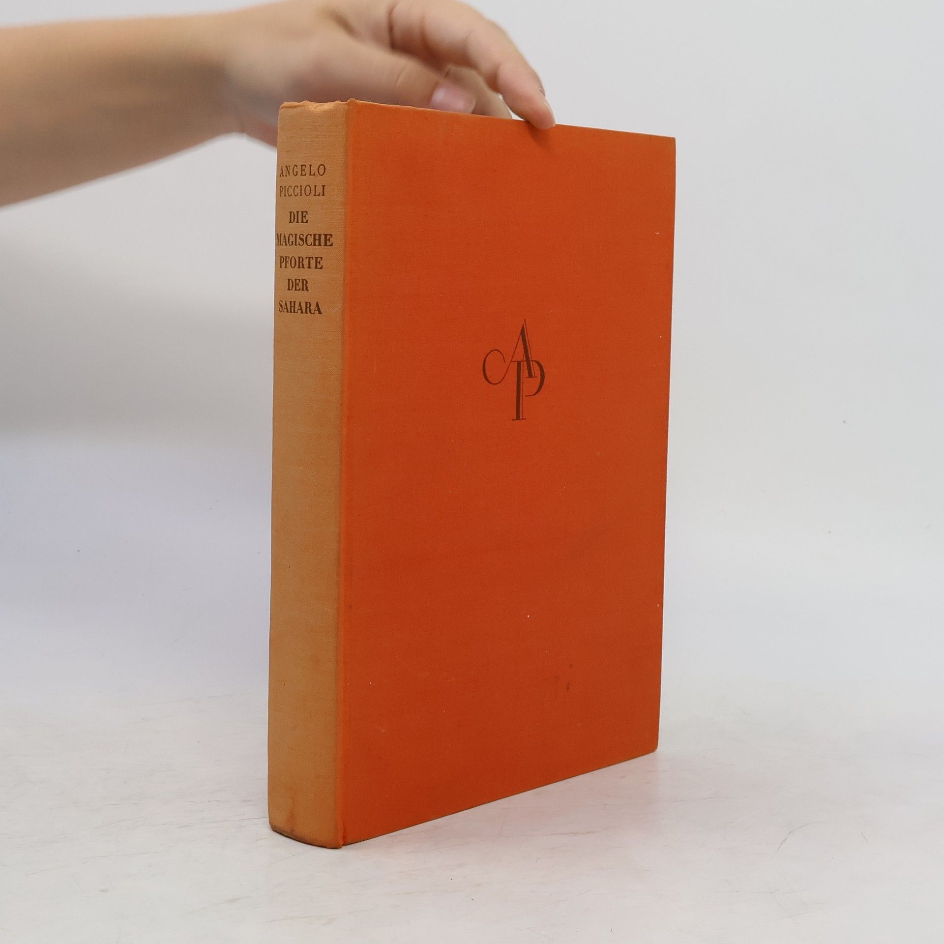 Angelo Piccioli Die magische Pforte der Sahara