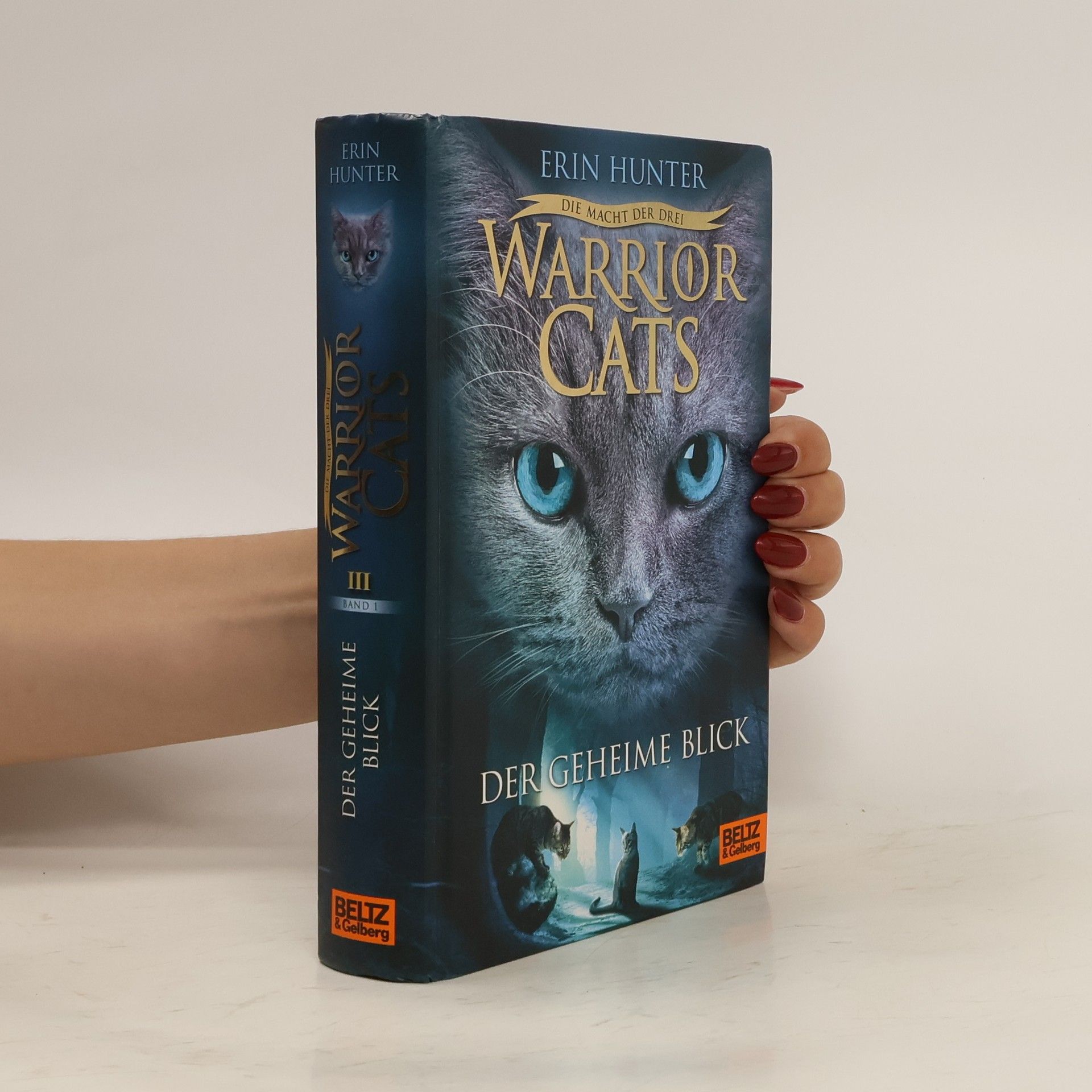 Erin Hunter Warrior Cats: Der geheime Blick