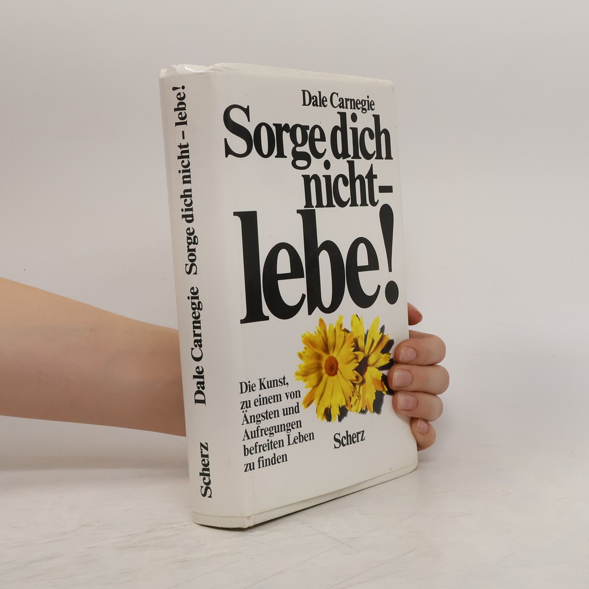 Dale Carnegie Sorge dich nicht - lebe!