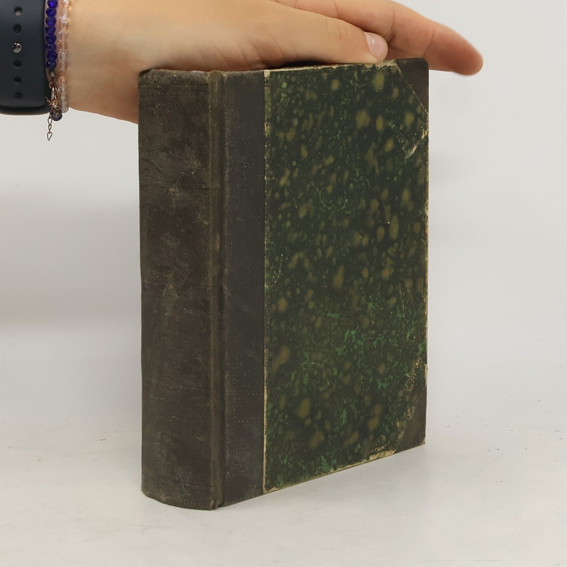 Vasilij Michailovič Michejev Tajemství zlatých dolů