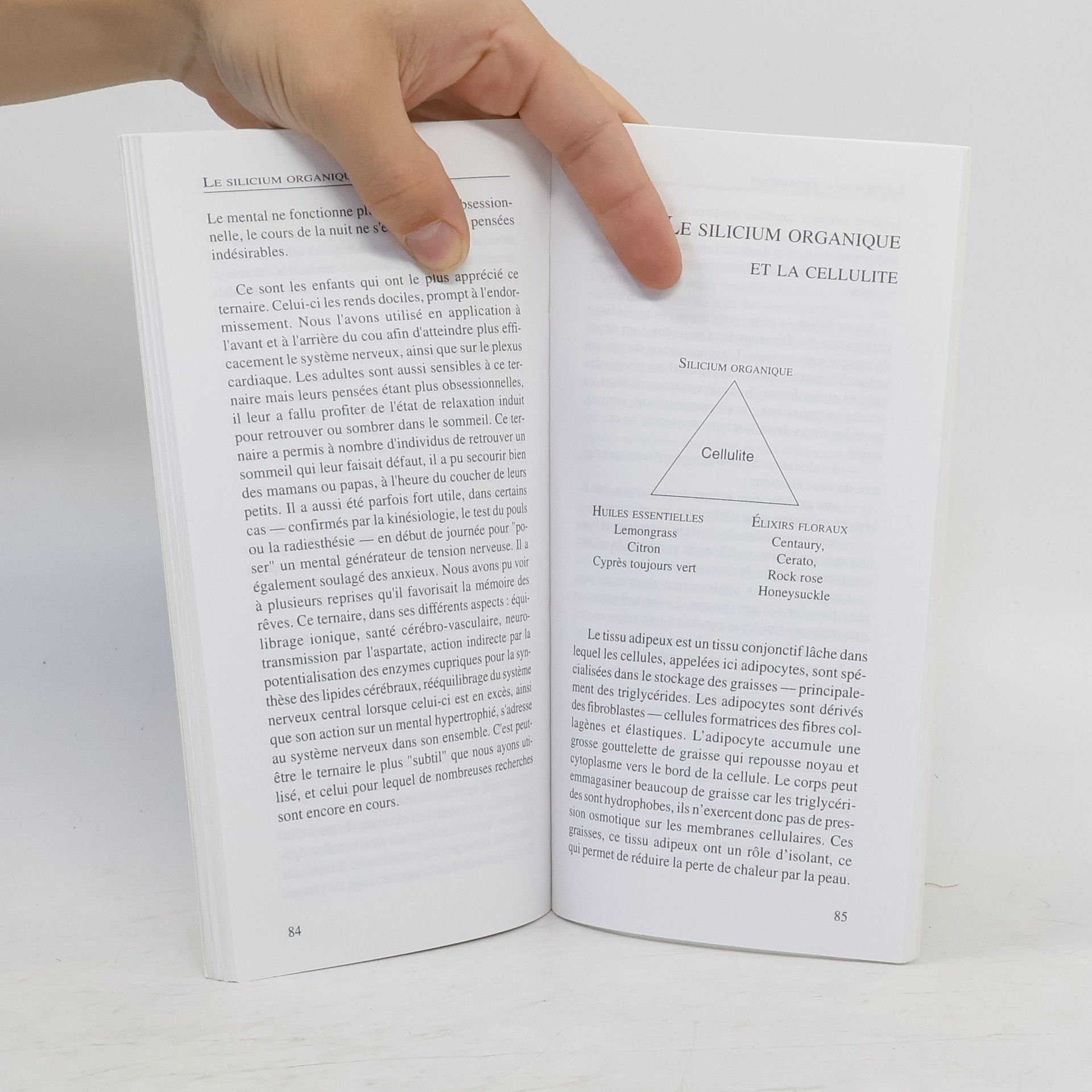 Laim Le silicium organique