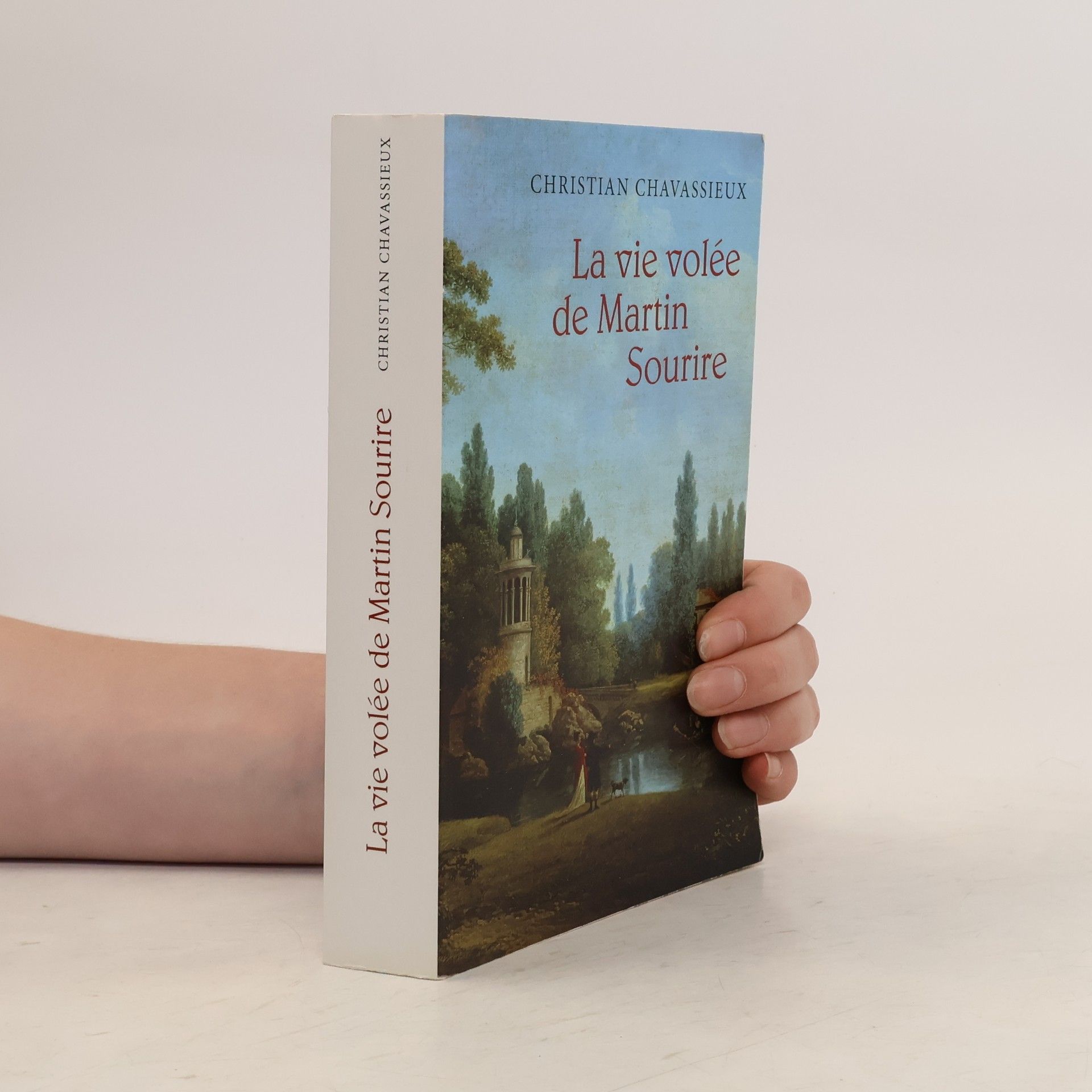La vie volée de Martin Sourire