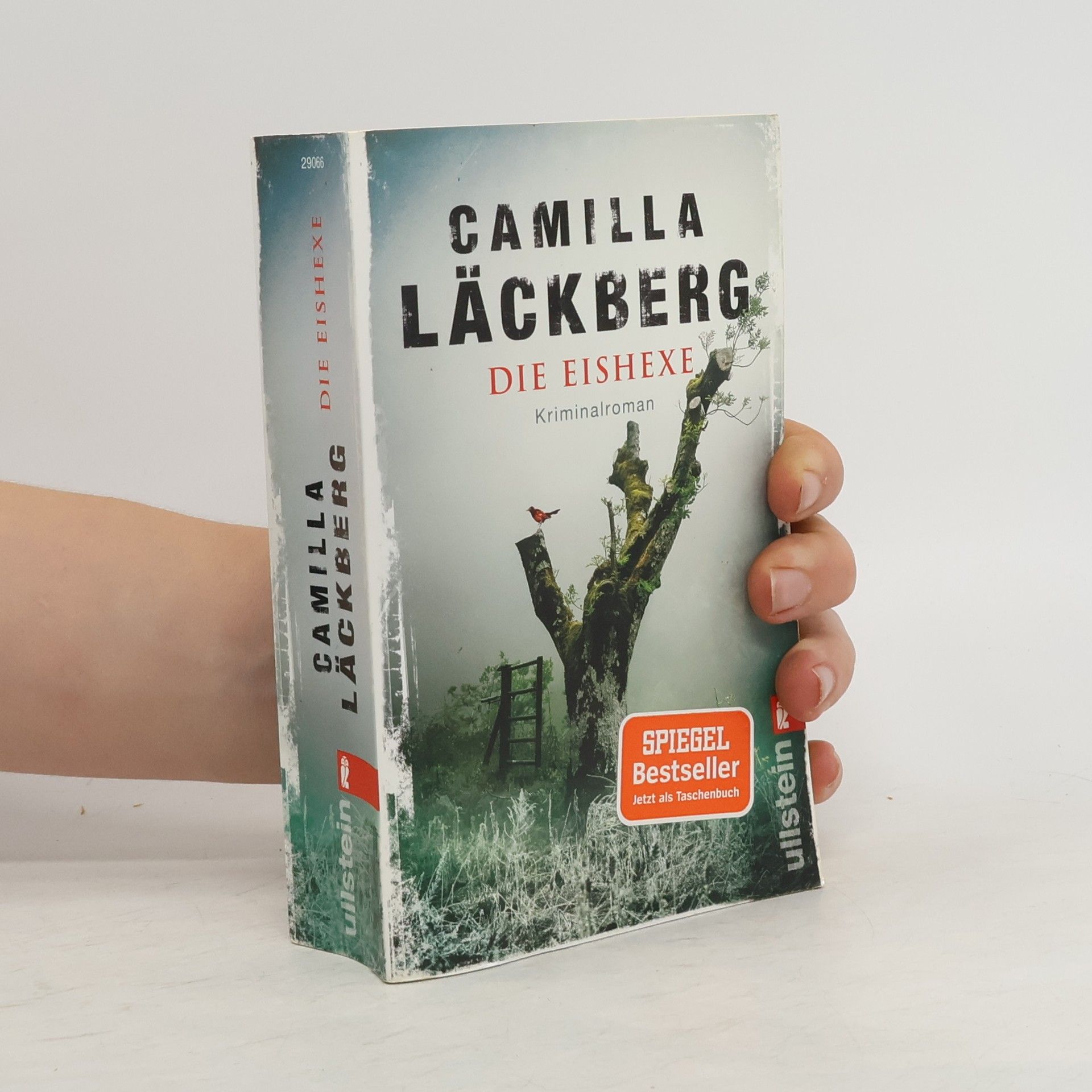 Camilla Läckberg Die Eishexe