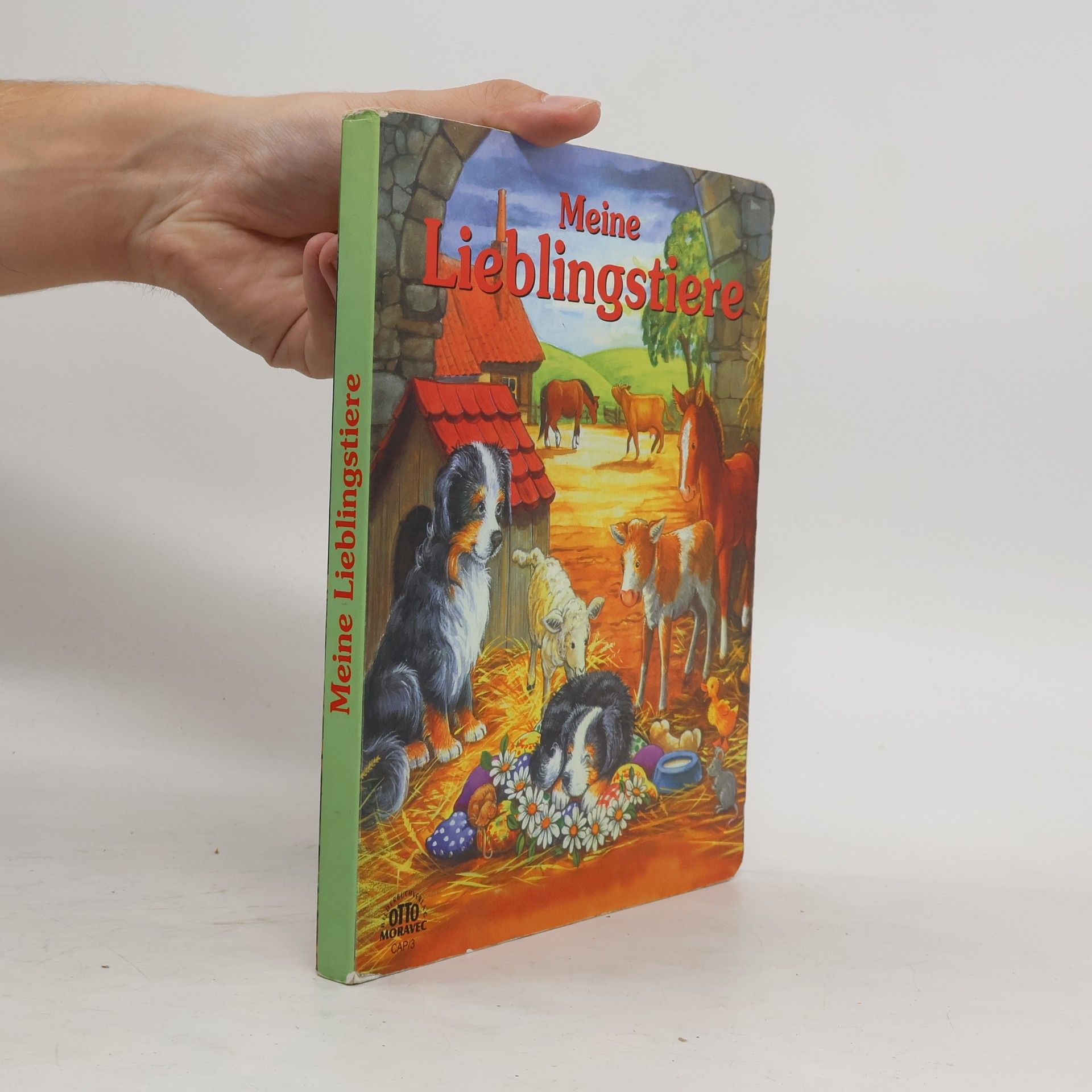 Autorenkollektiv Meine Lieblingstiere