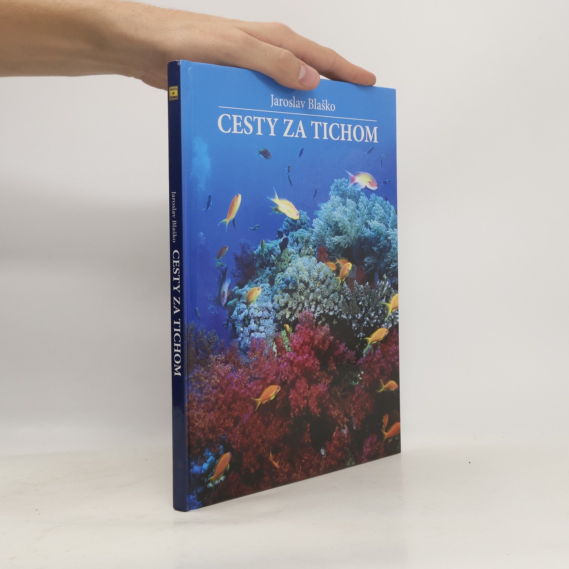 Cesty za tichom