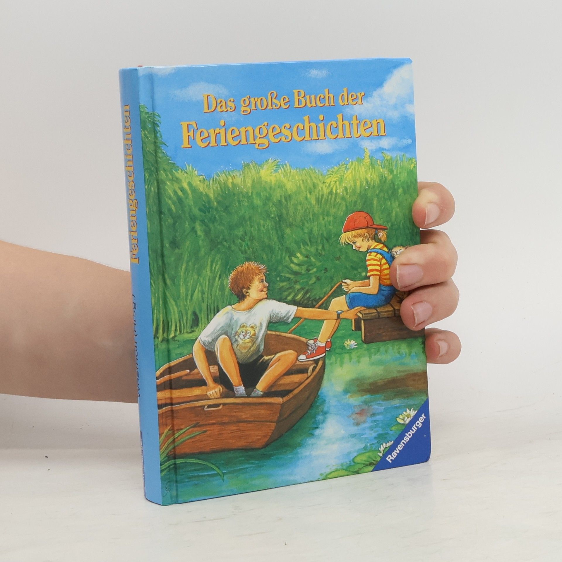 Collectif d'auteurs Das große Buch der Feriengeschichten