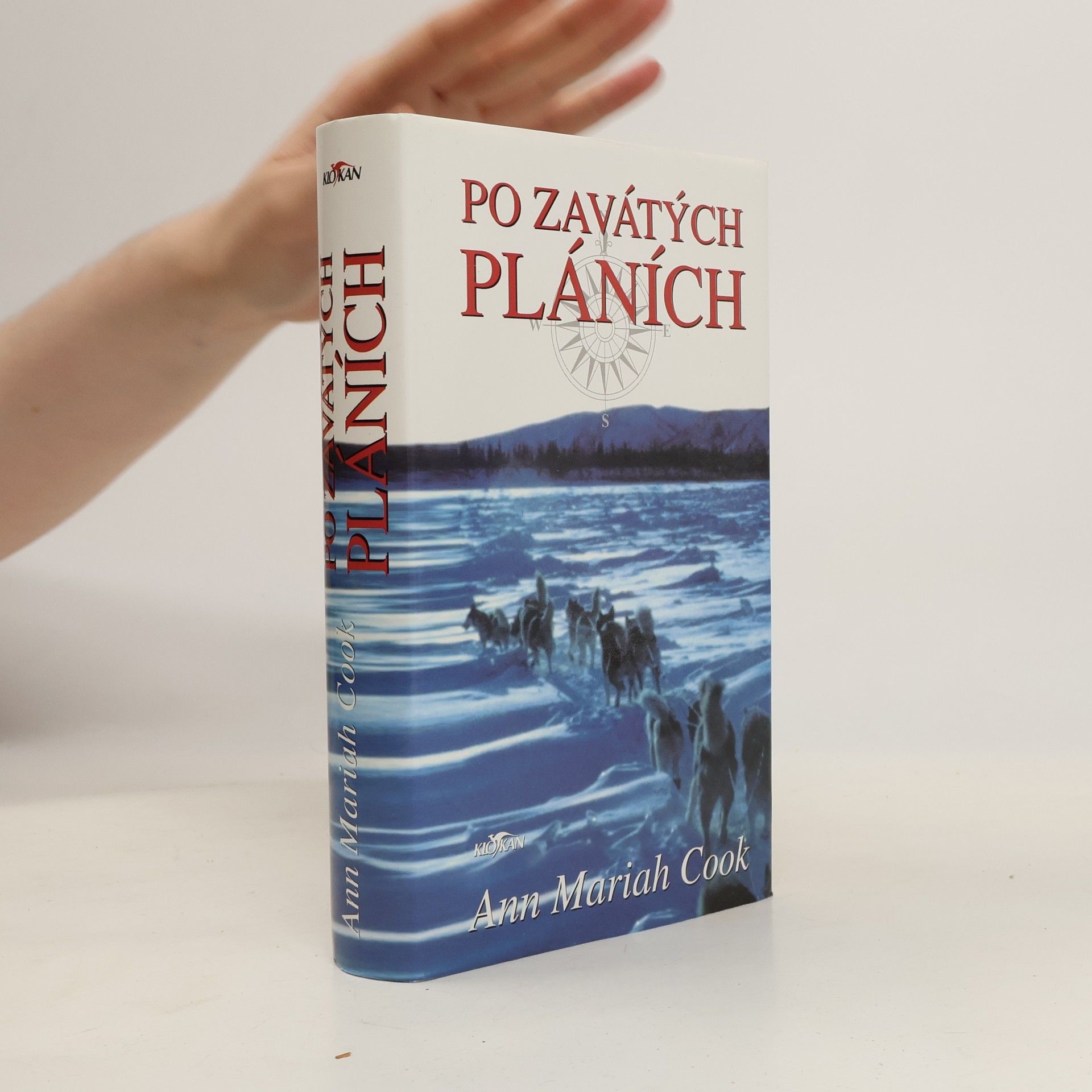 Ann Mariah Cook Po zavátých pláních