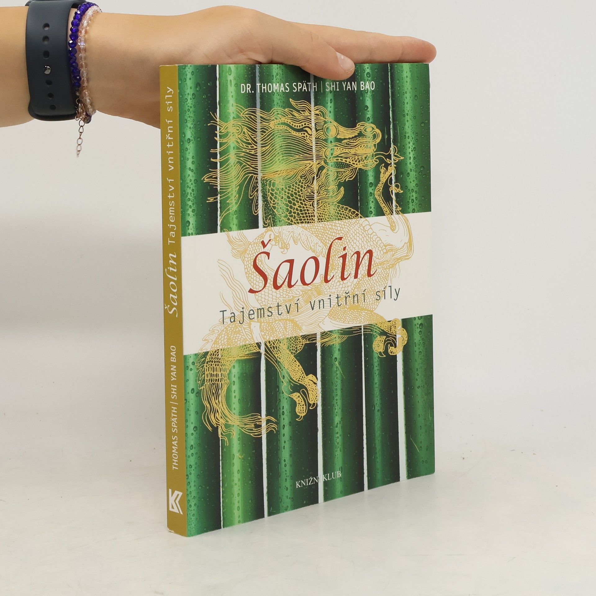 Thomas Späth Šaolin: tajemství vnitřní síly