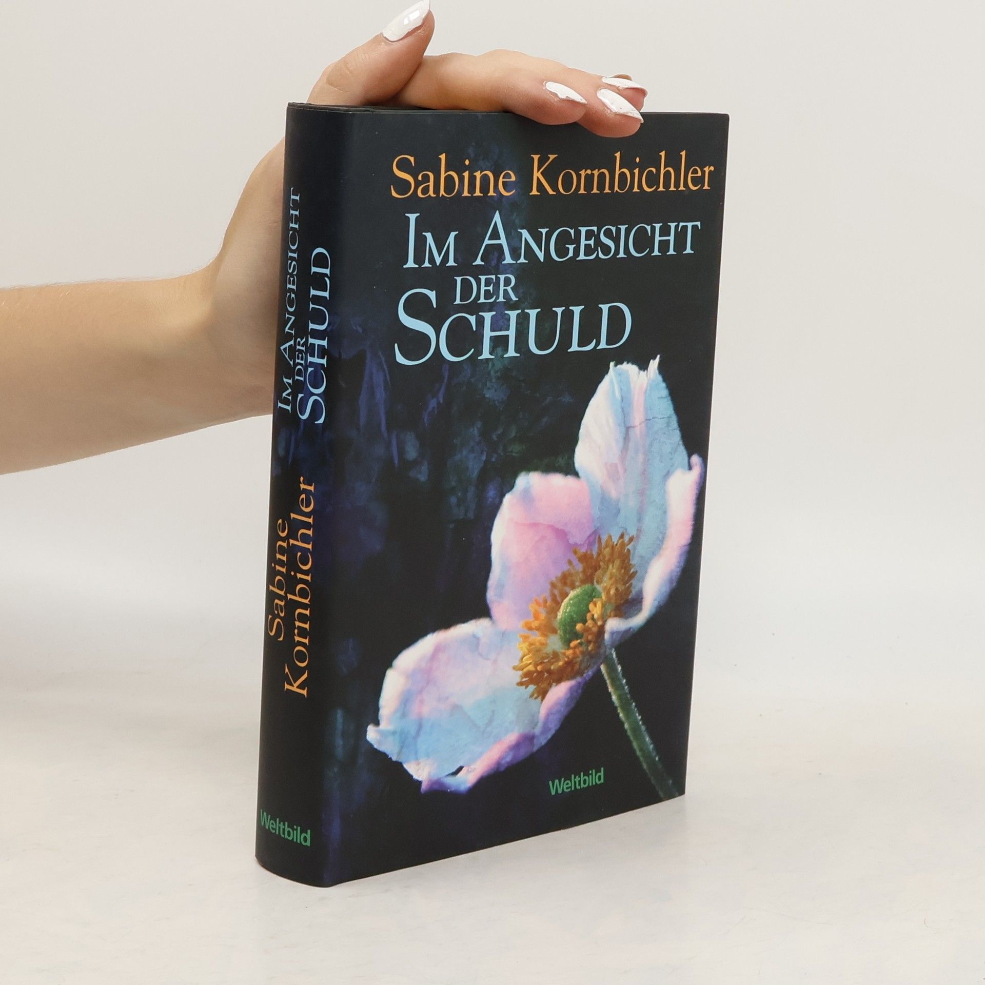 Sabine Kornbichler Im Angesicht der Schuld