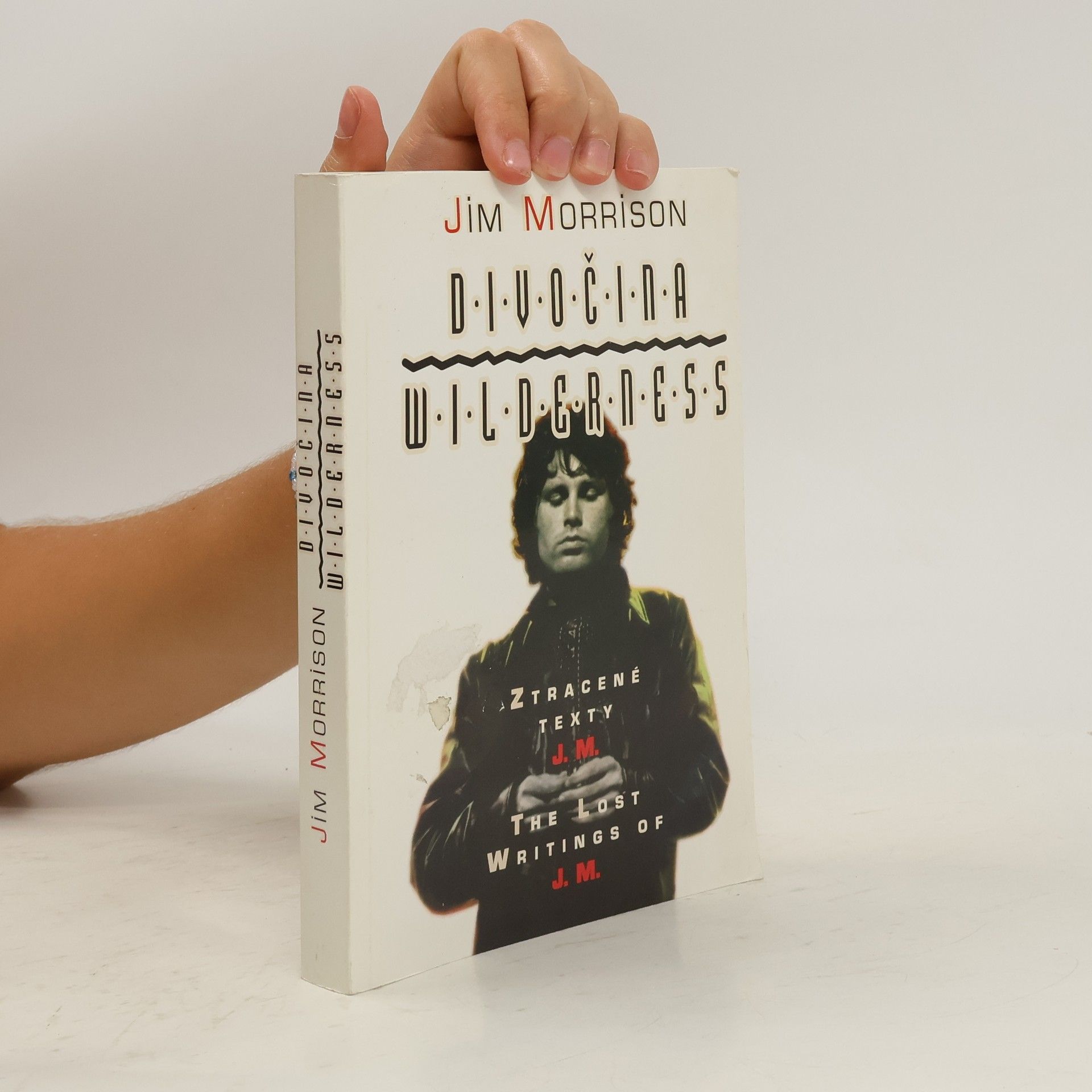 Jim Morrison Divočina, Wilderness = Ztracené texty