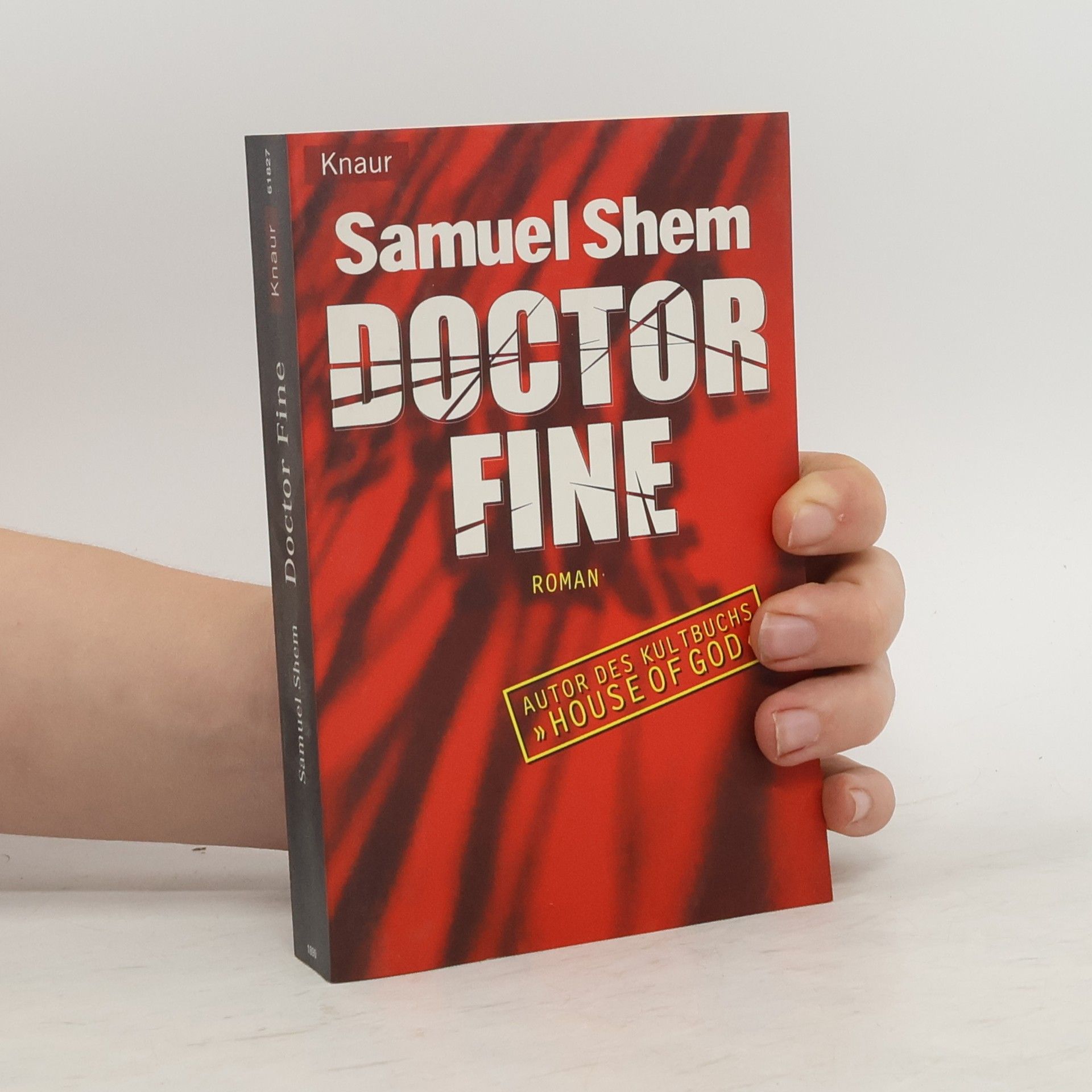 Samuel Shem Doctor Fine