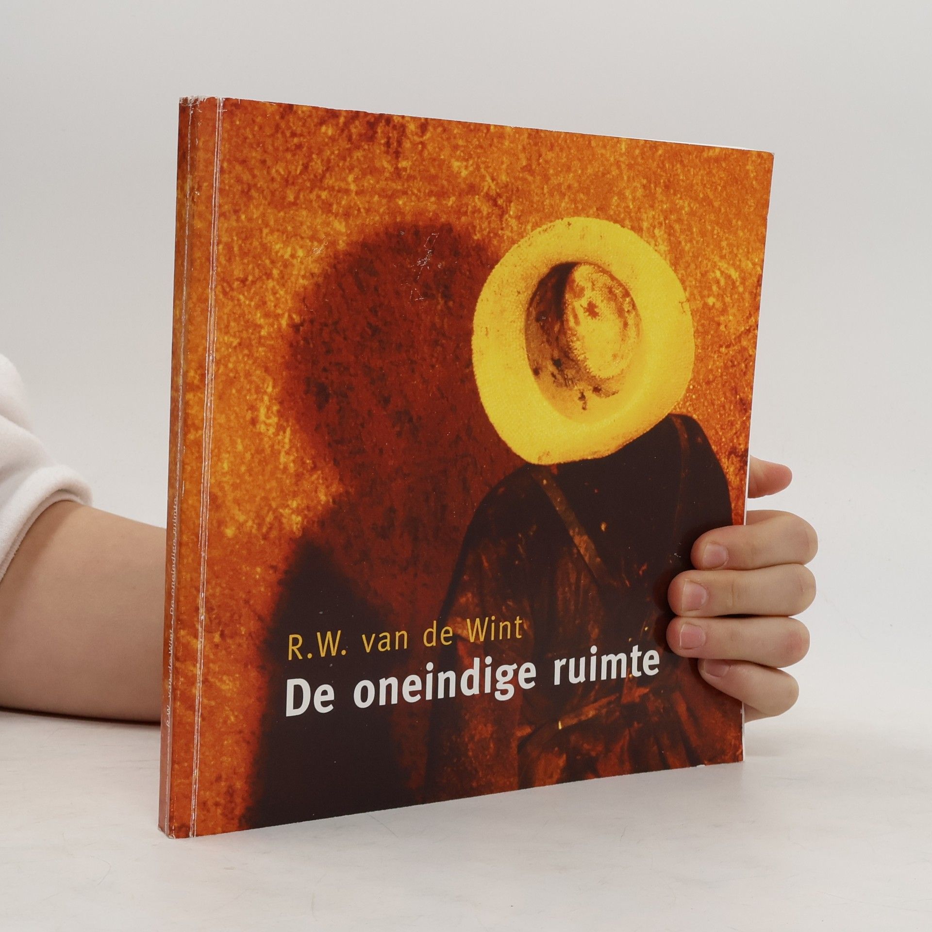 R. W. van de Wint De oneindige ruimte